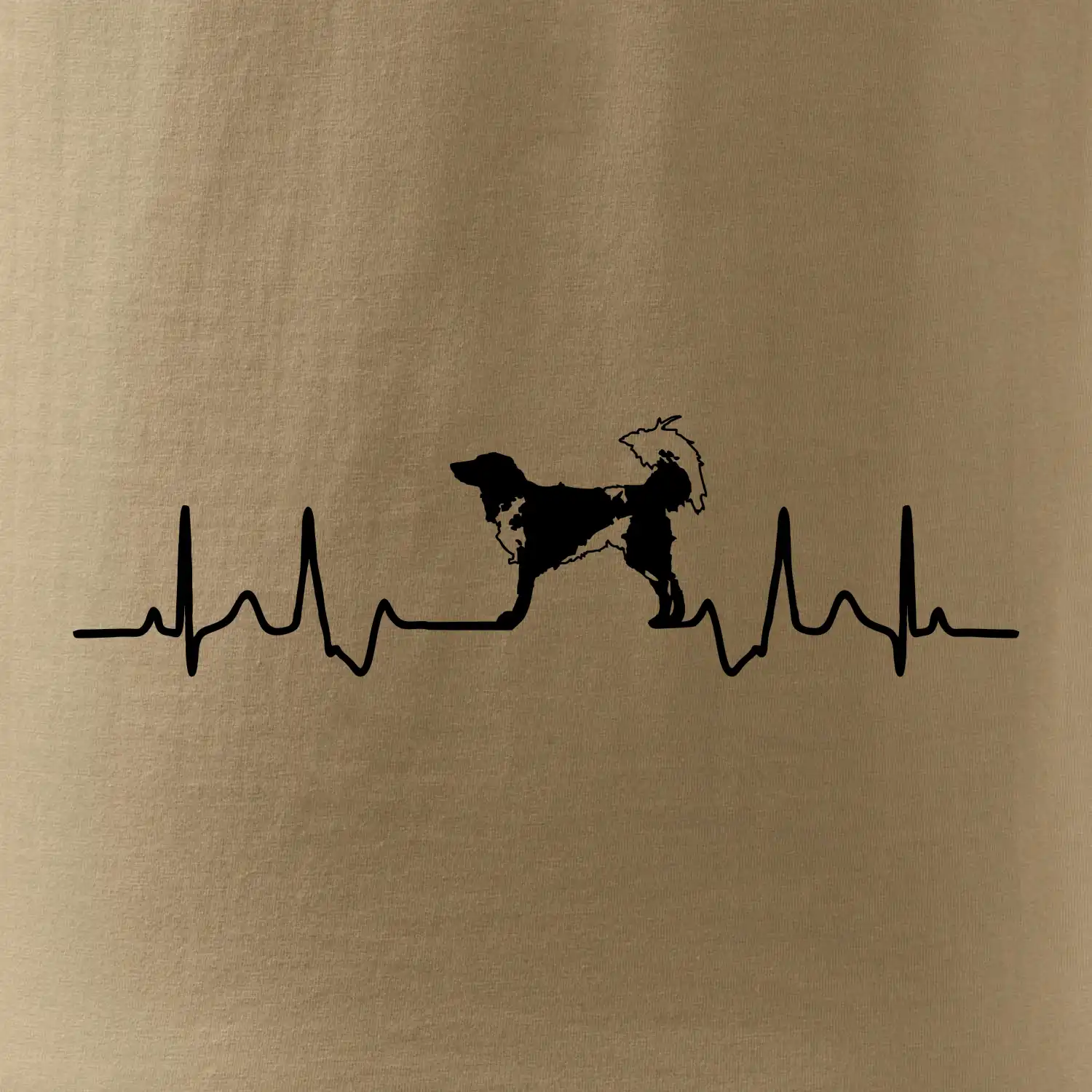 Český strakatý pes EKG