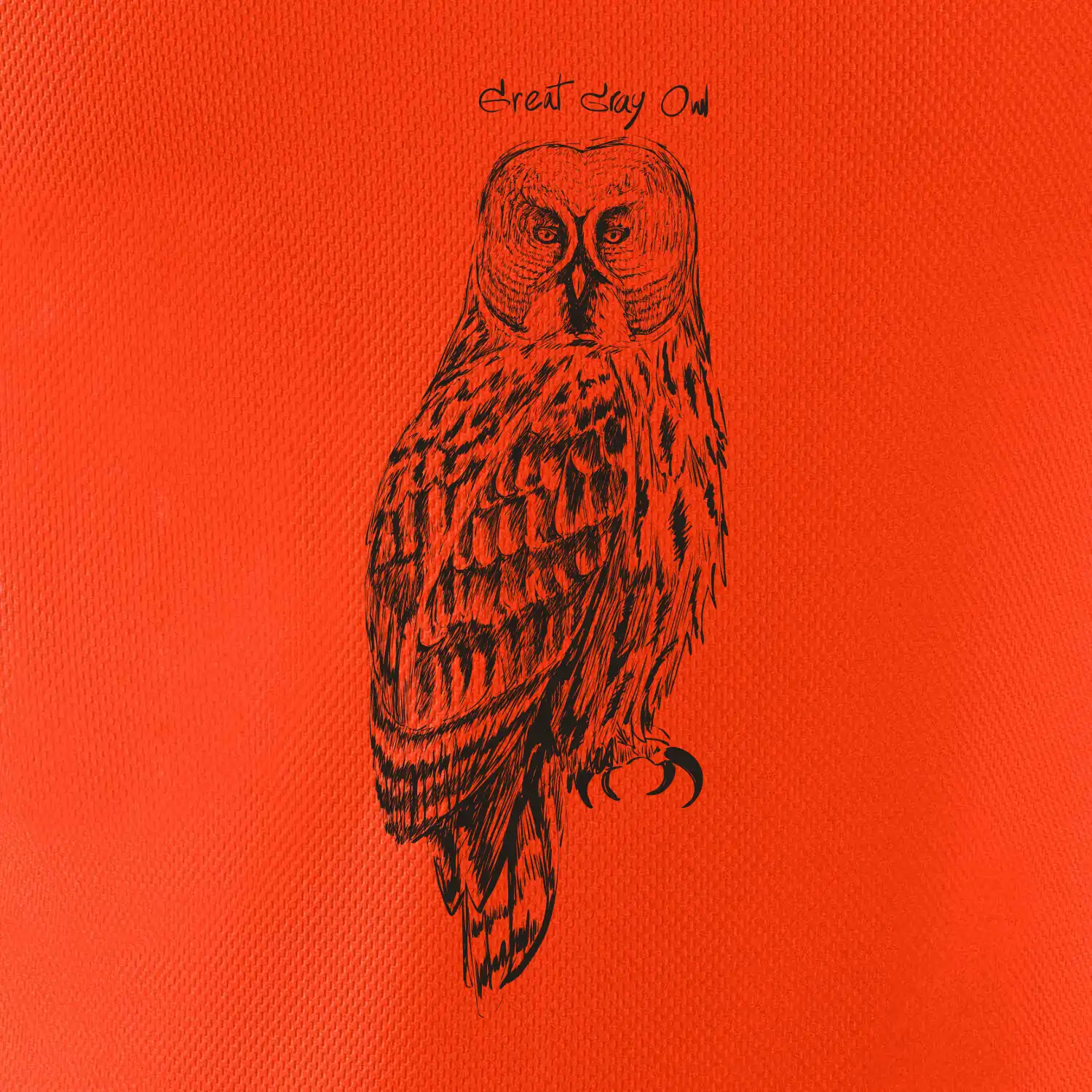 Puštík vousatý great gray owl