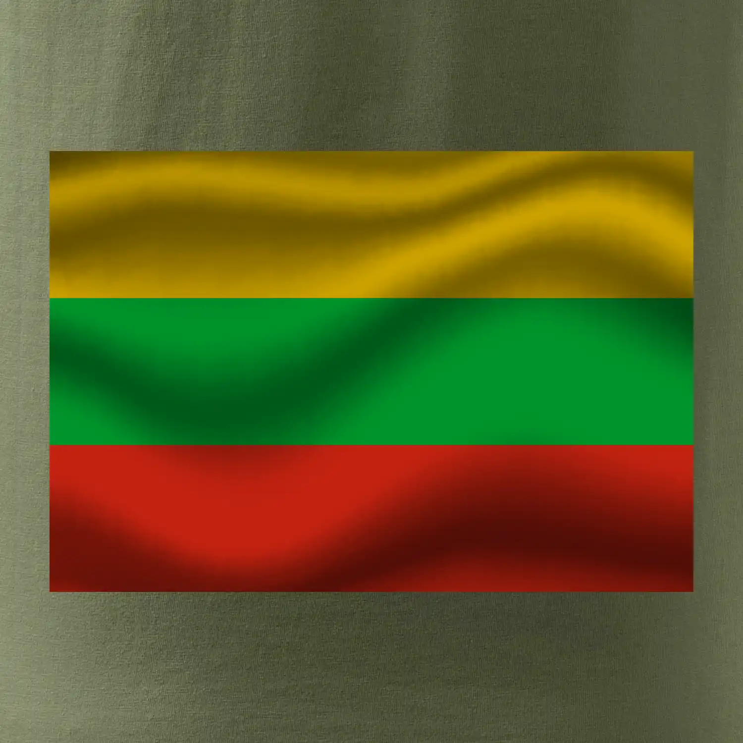 Litva vlajka obdélník