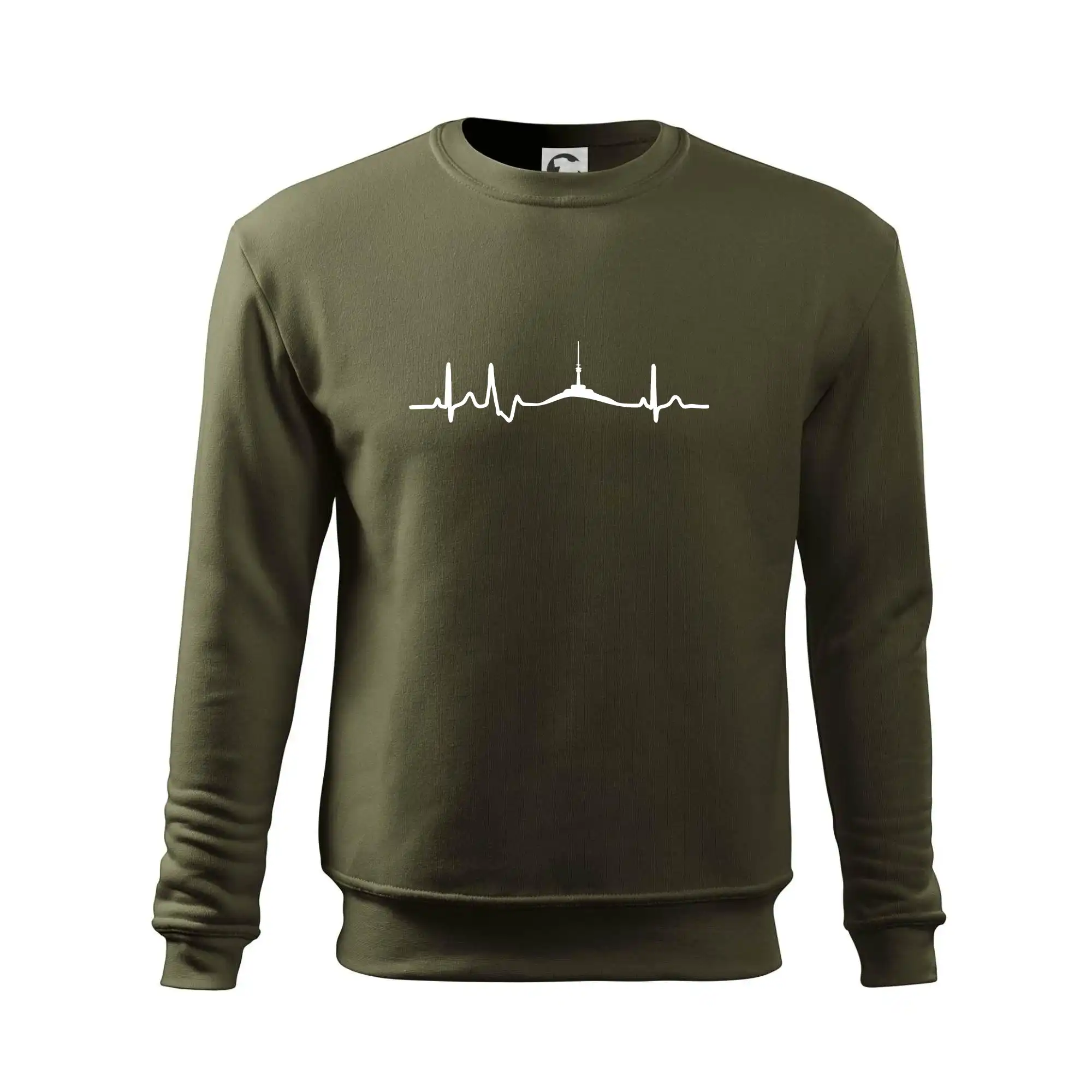 Ekg Jeseníky