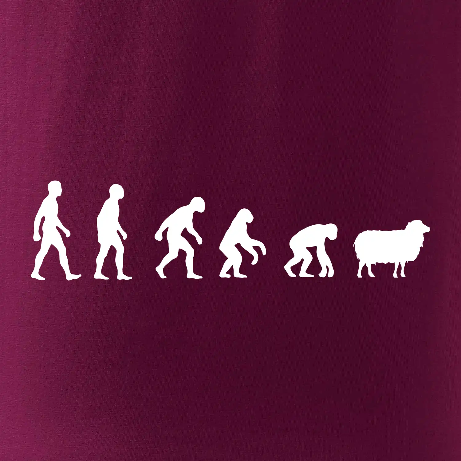 Evoluce ovce