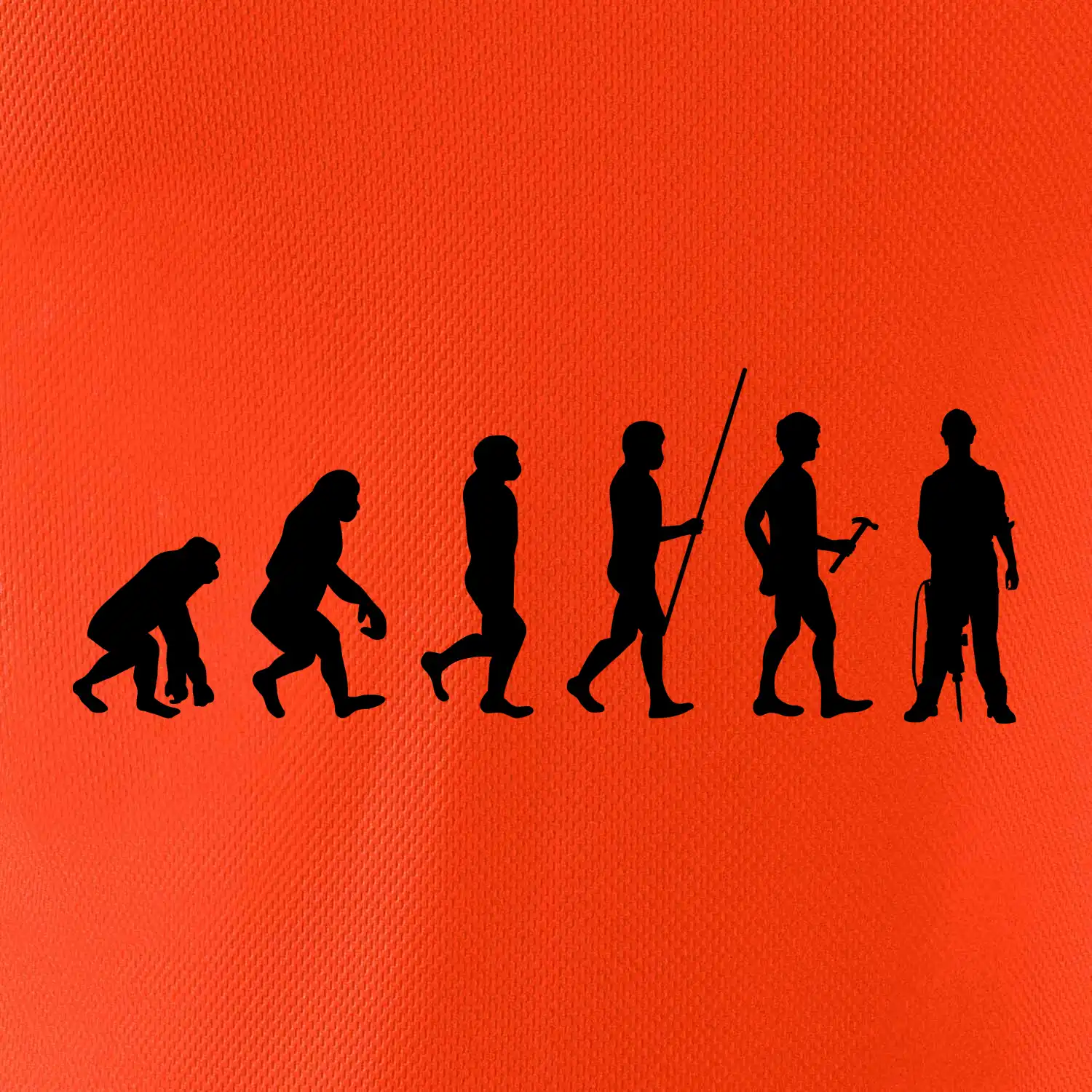Evoluce zedník zbiječka