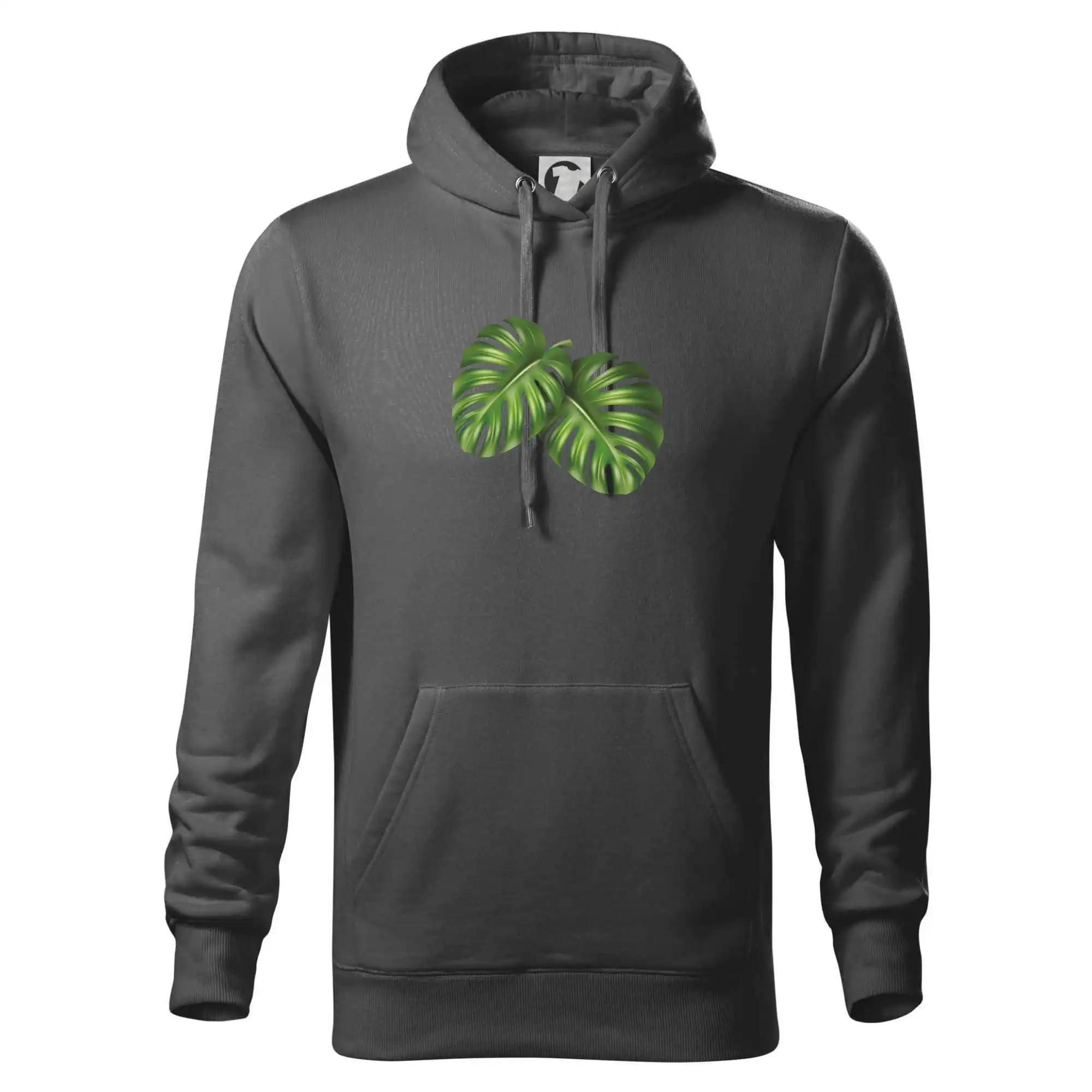 Monstera - dva listy