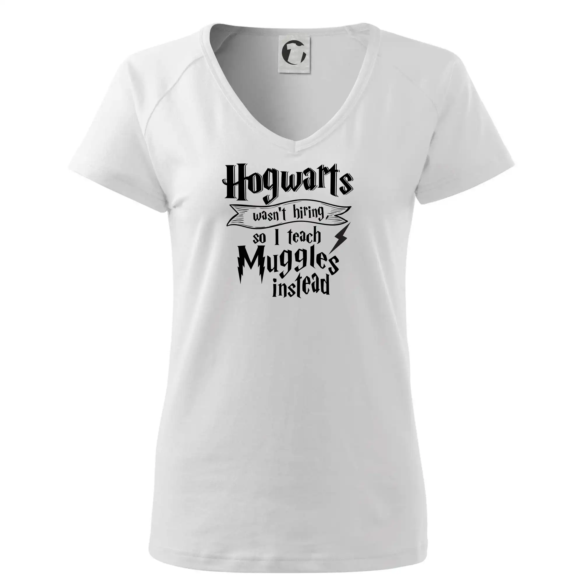 Harry - Hogwarts wasn’t hiring, so I teach Muggles instead