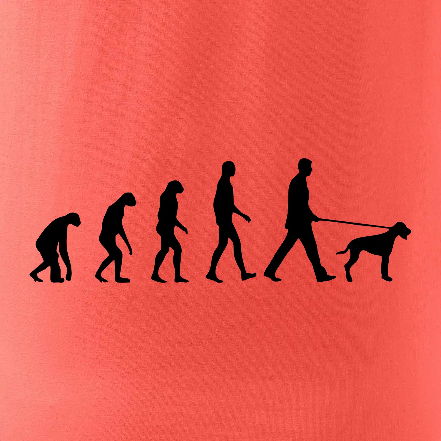 Evoluce pes ohař
