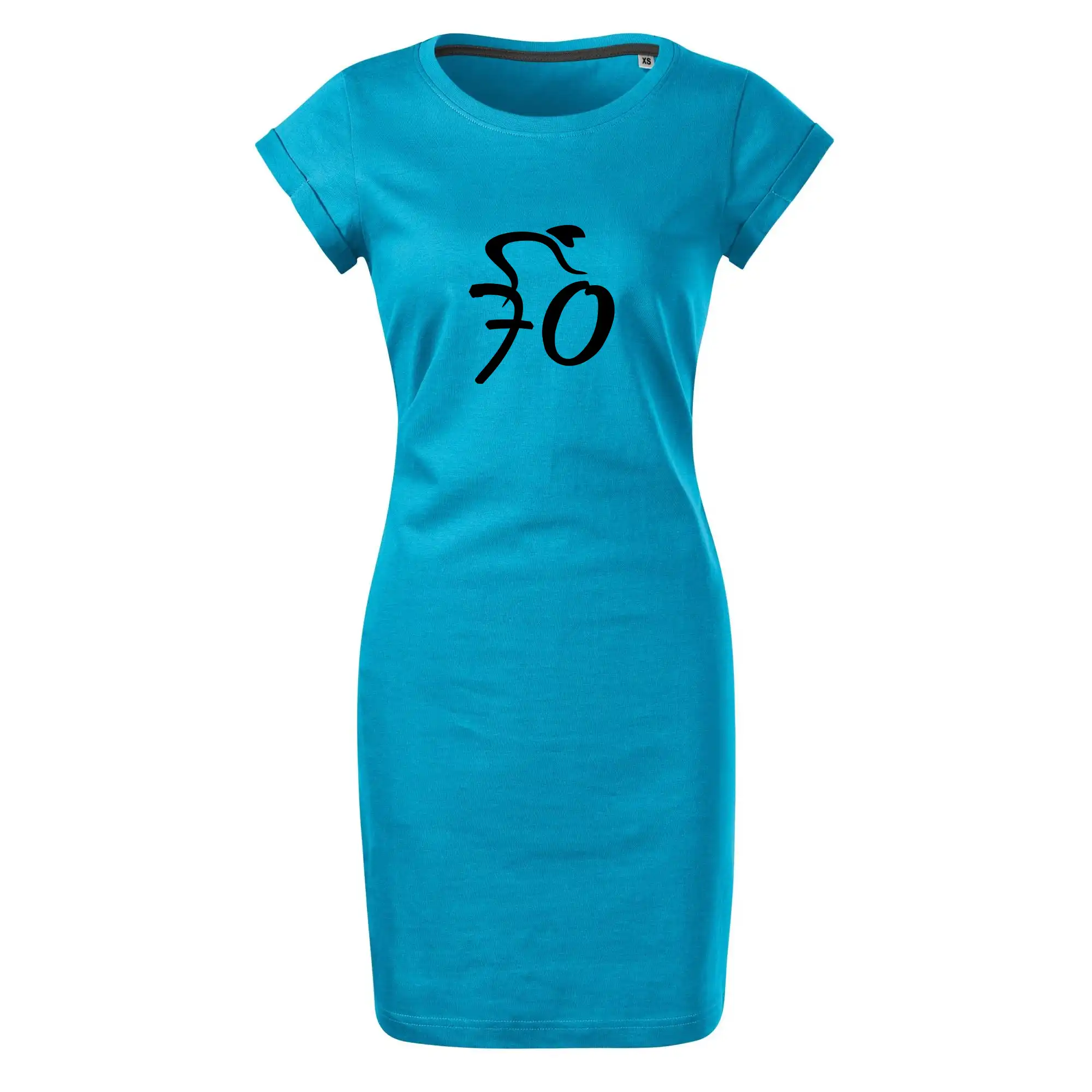 Cyklista slaví sedmdesátku (70)