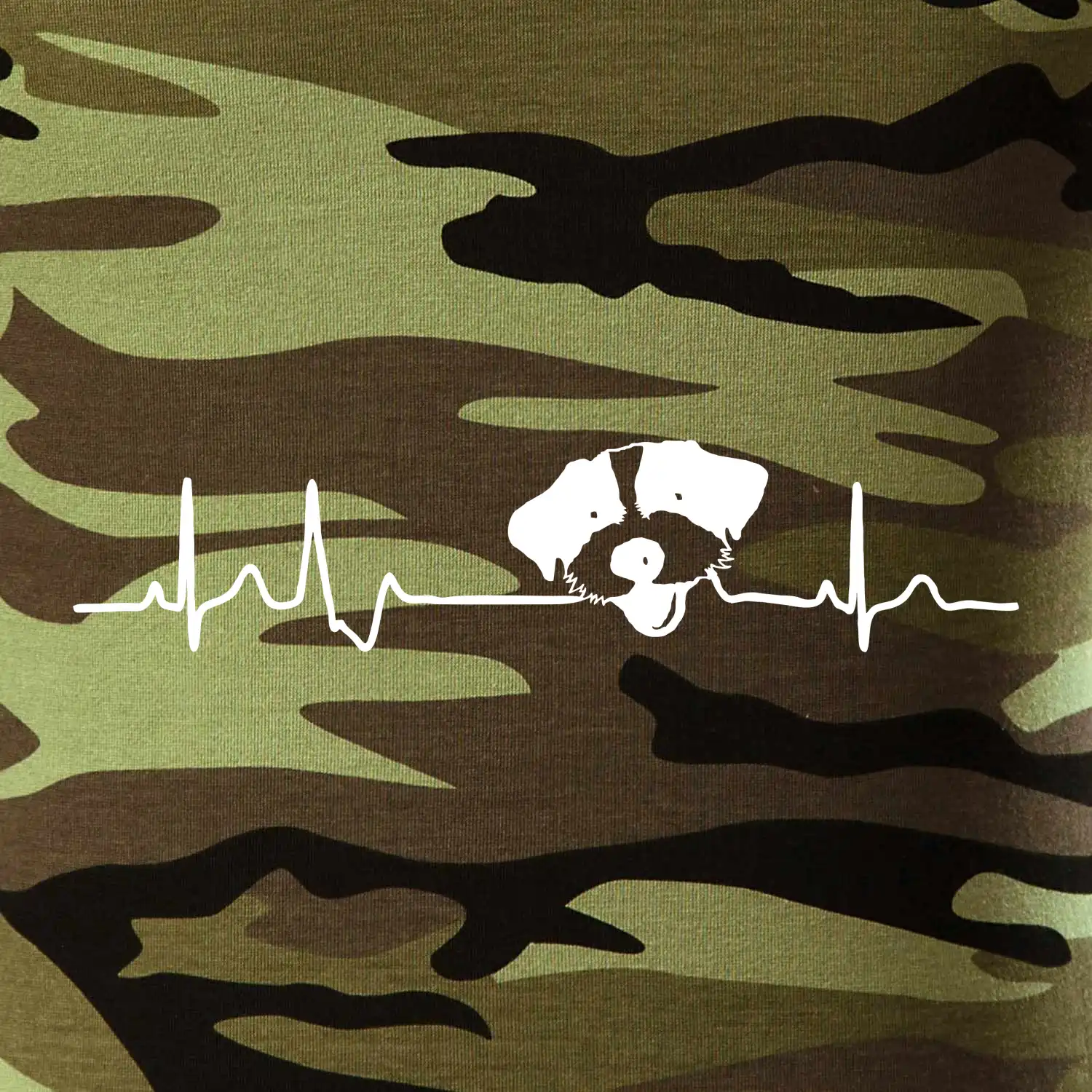Jack Russell Terriér hrubosrstý Ekg