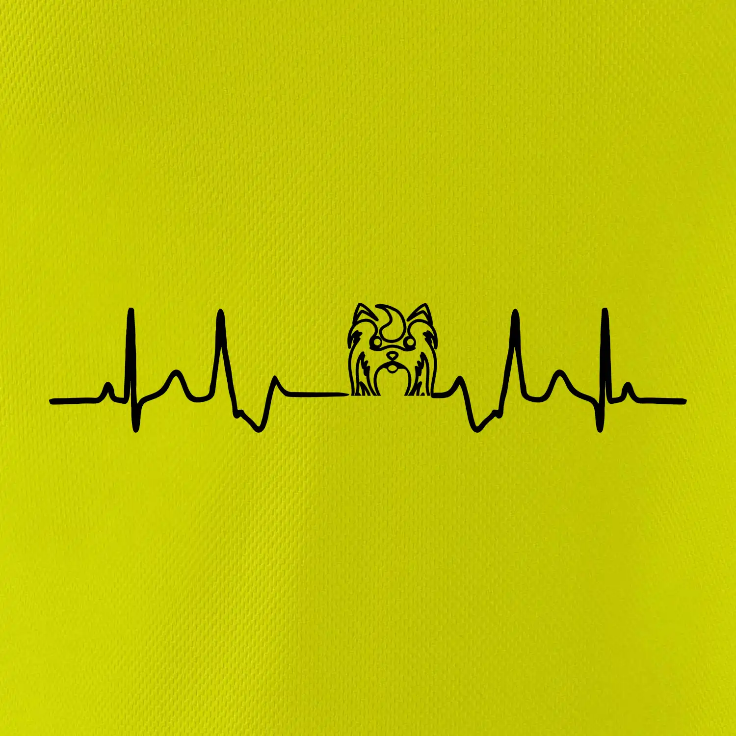 Shih-tzu ekg hlava