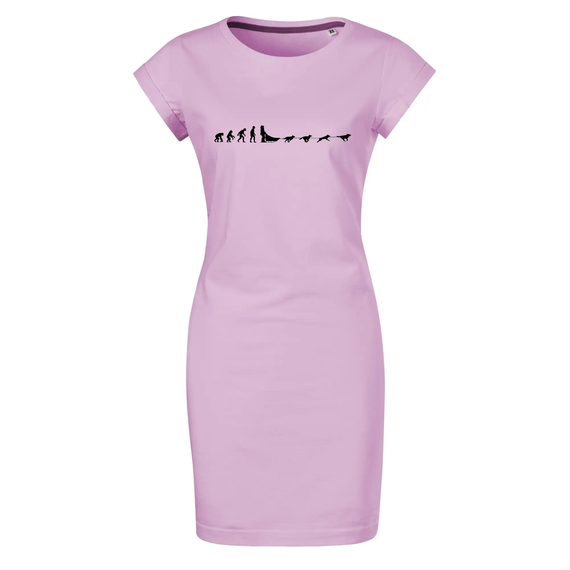 Evoluce psí spřežení