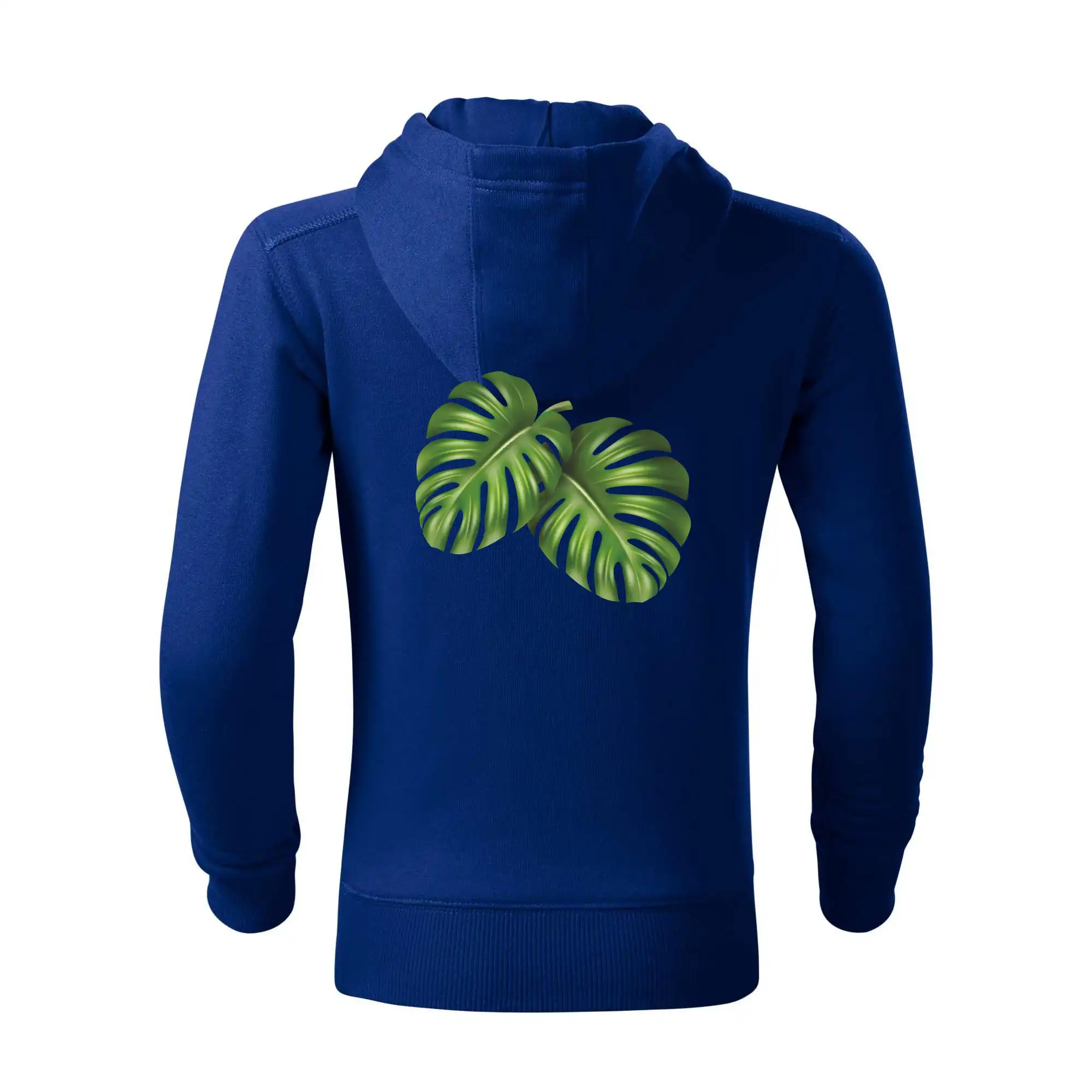 Monstera - dva listy