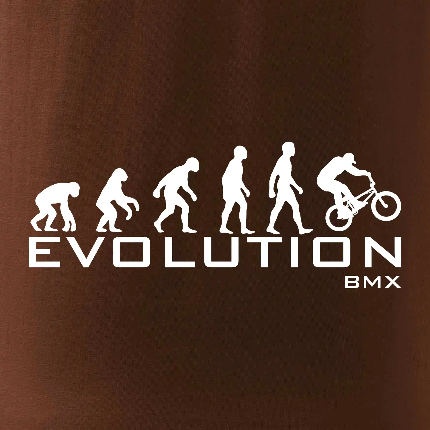 Evoluce BMX