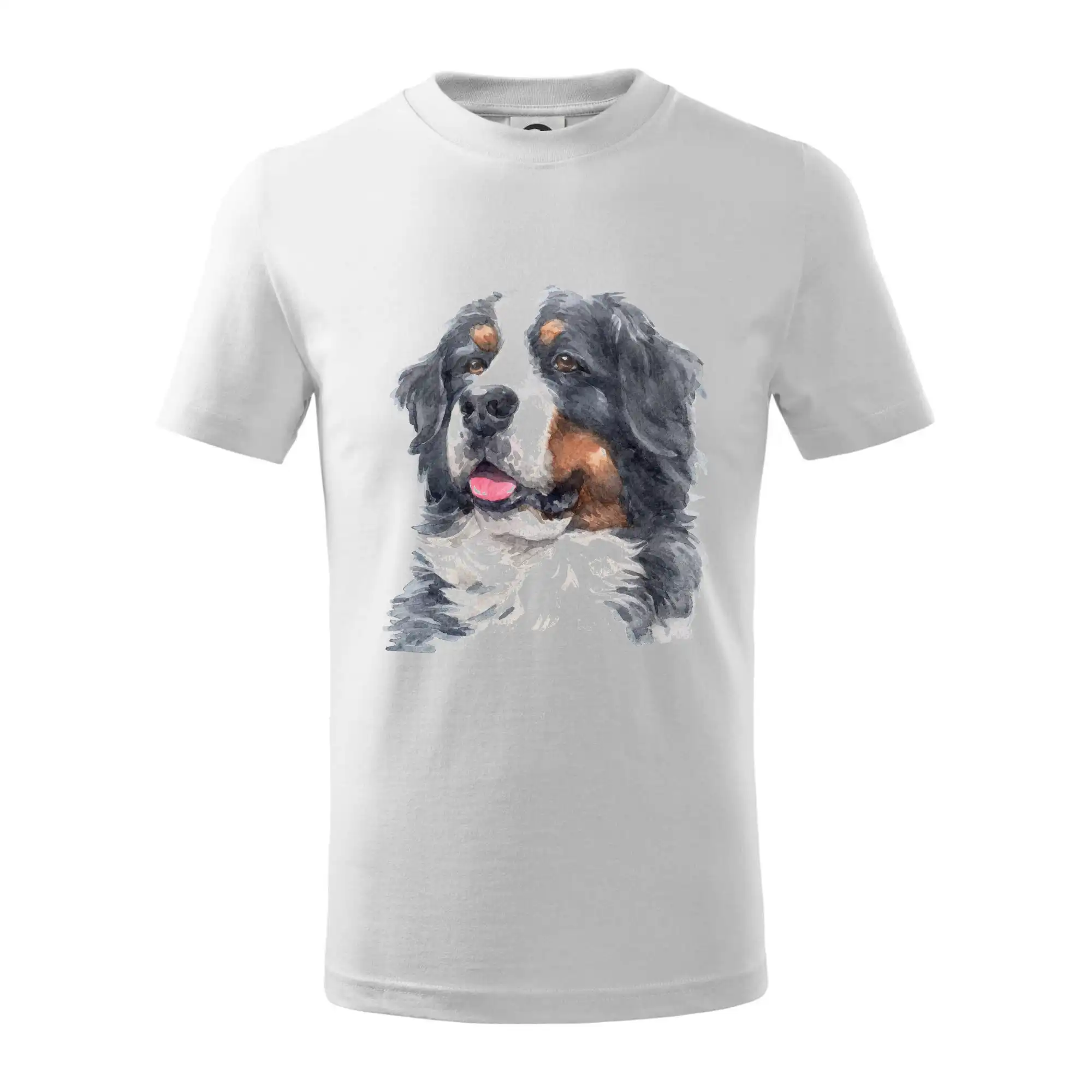 Bernský salašnický pes - hlava vodová barva