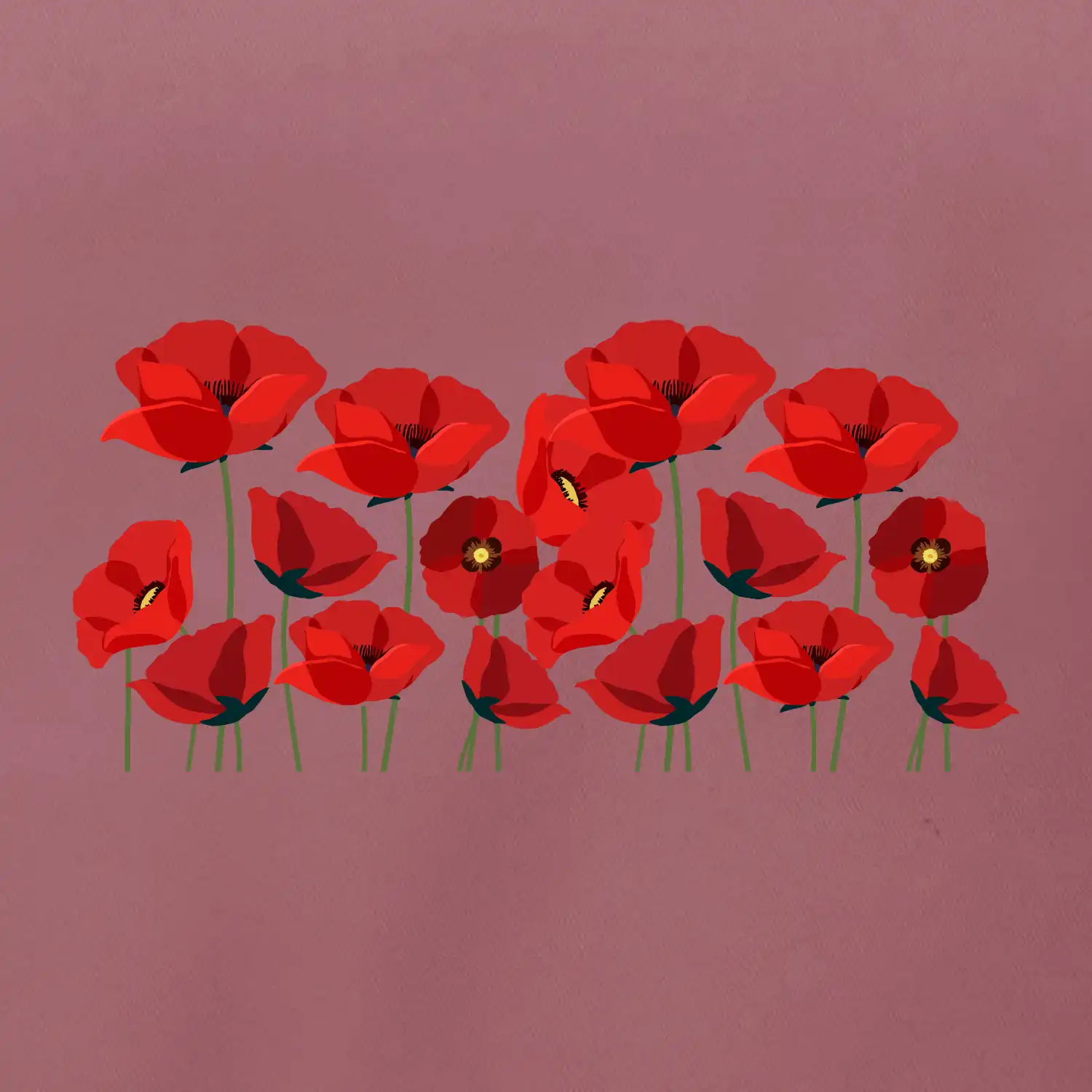 Vlčí mák v řadě