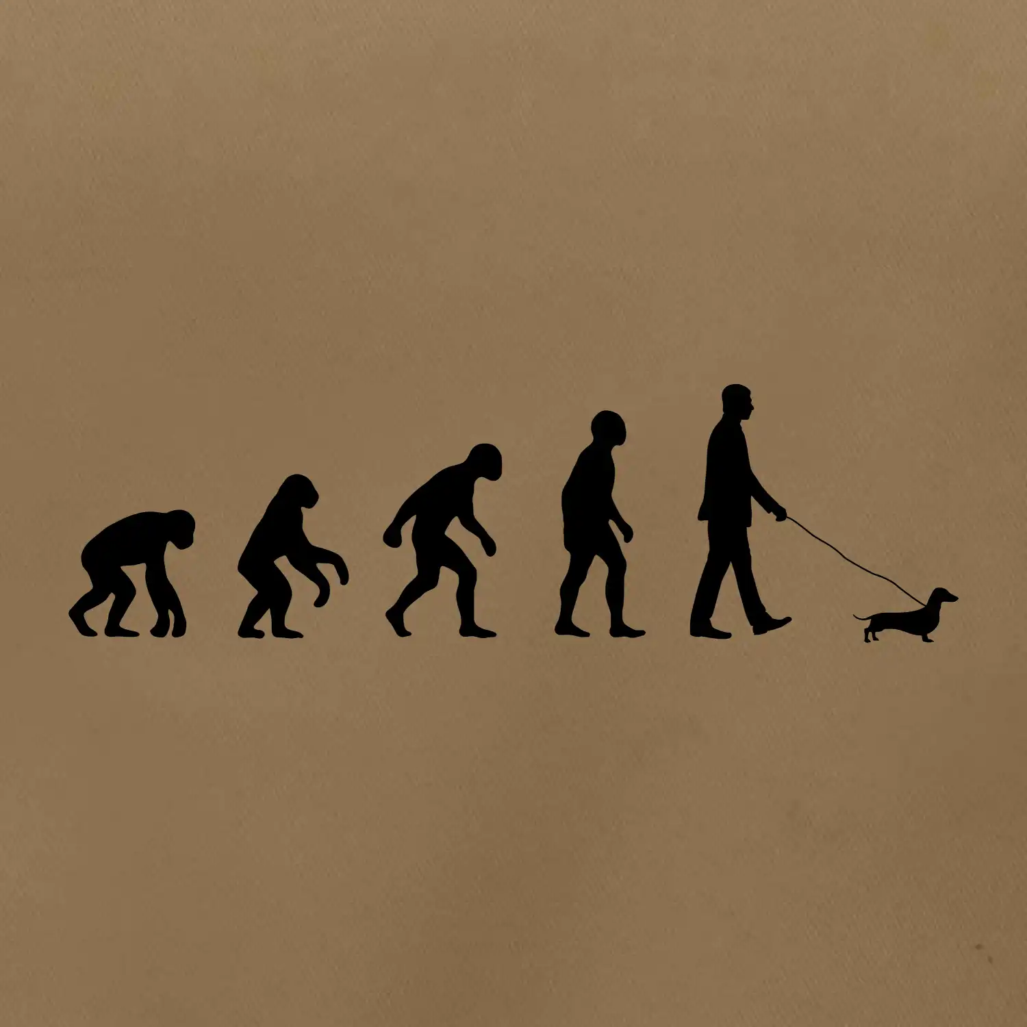 Jezevčík Evoluce muž