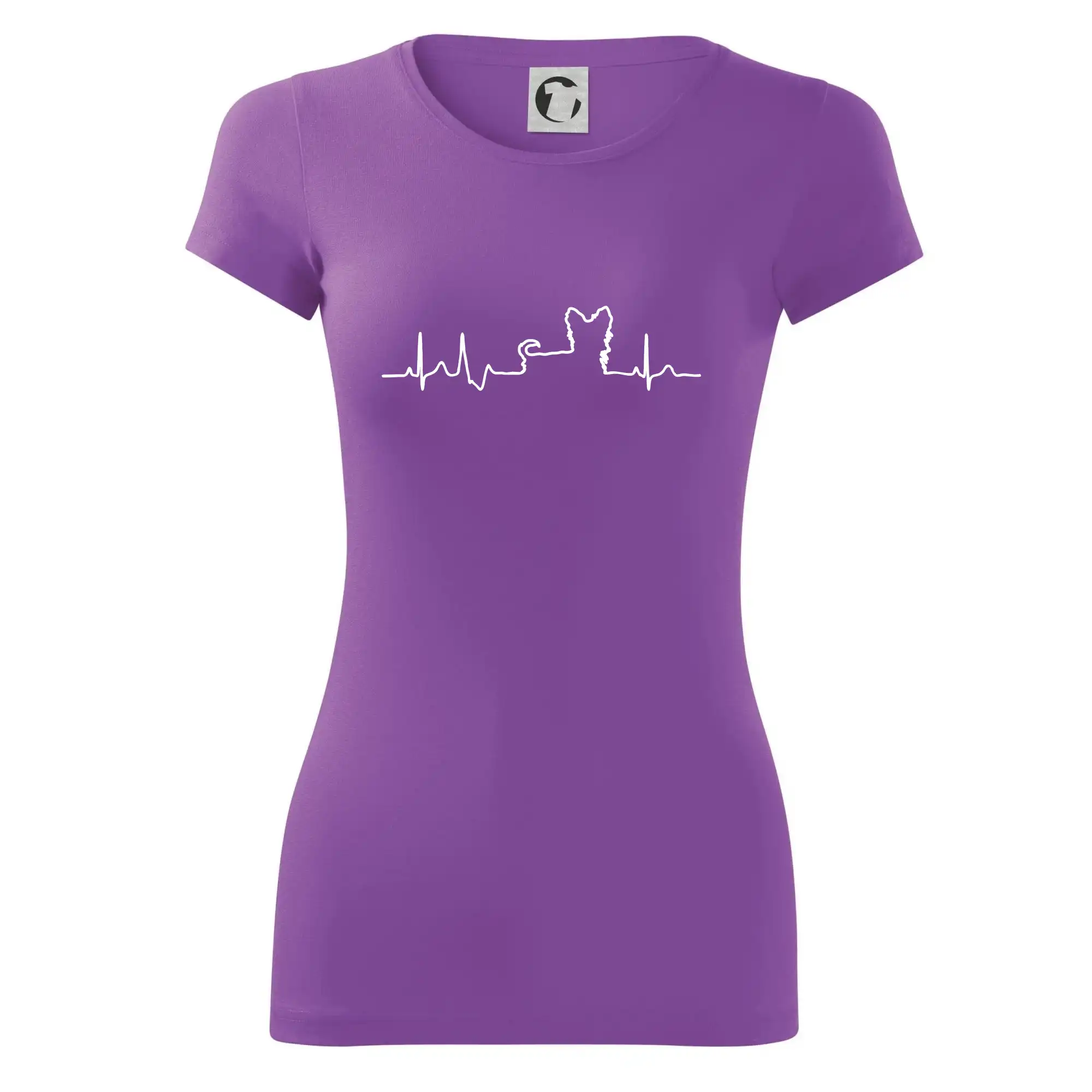 Jorkšírský teriér EKG