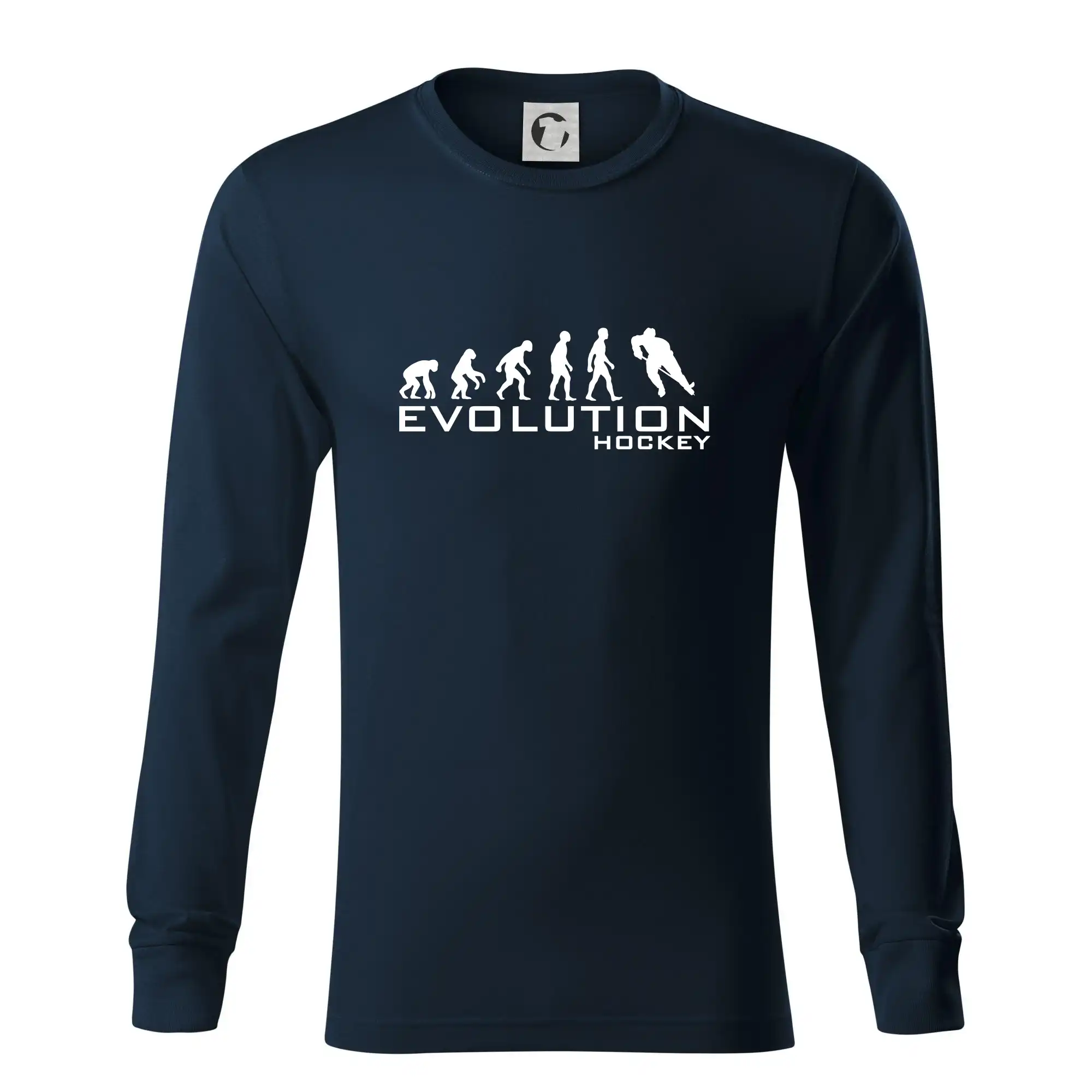 Evoluce Hockey - hráč