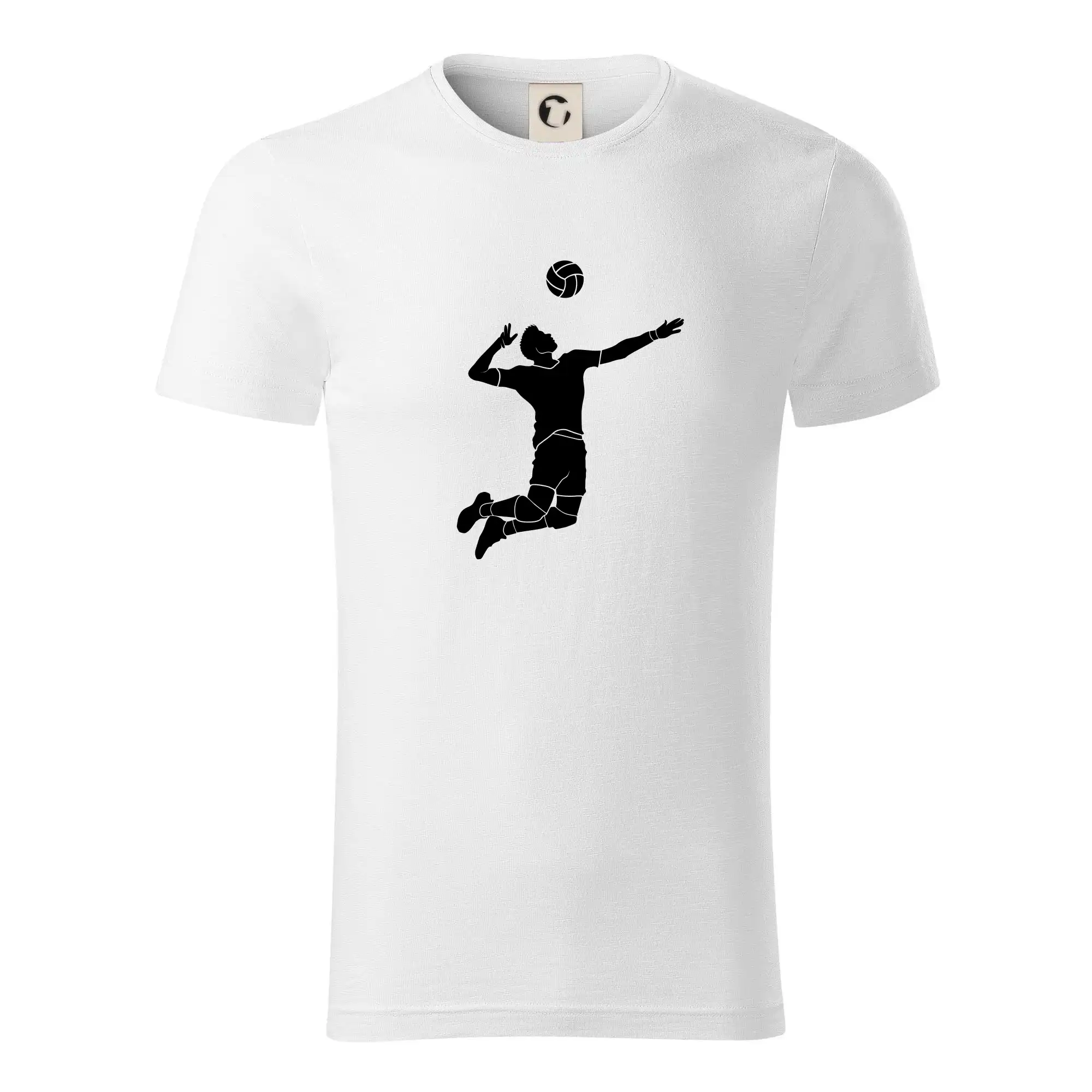 Volejbal nápřah muž