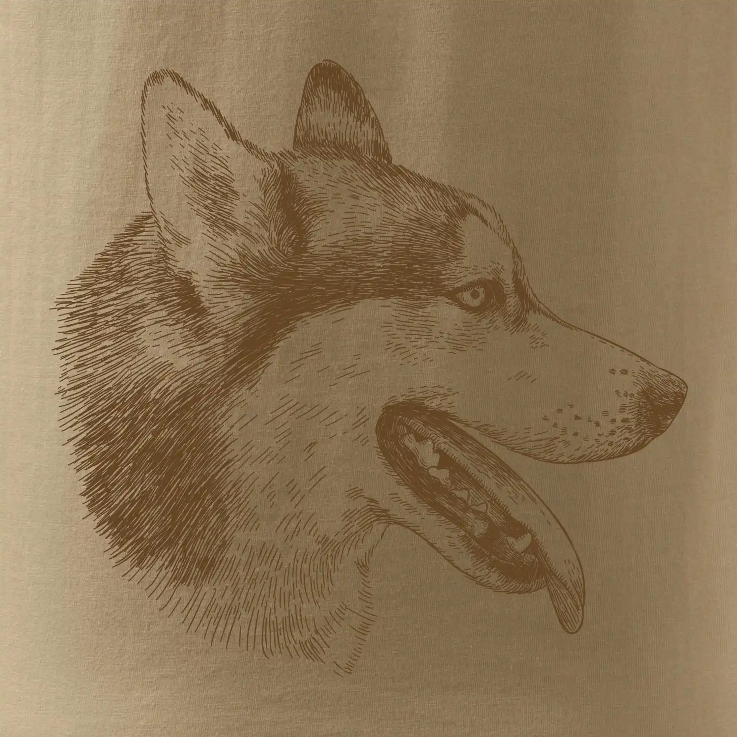 Husky - hlava z boku