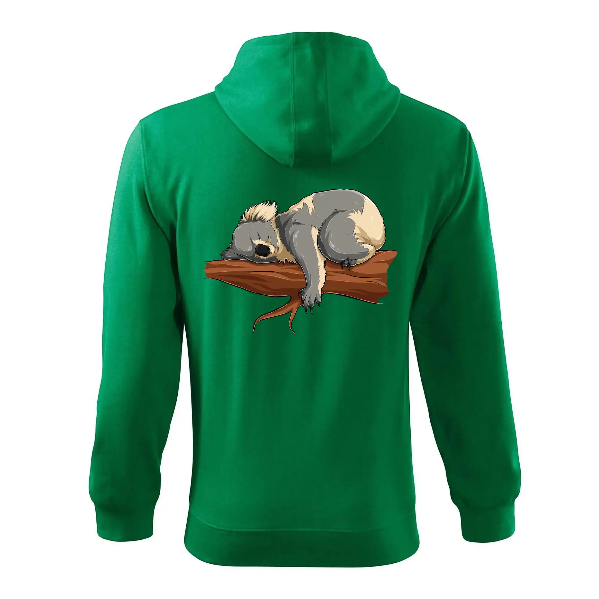 Koala na větvi