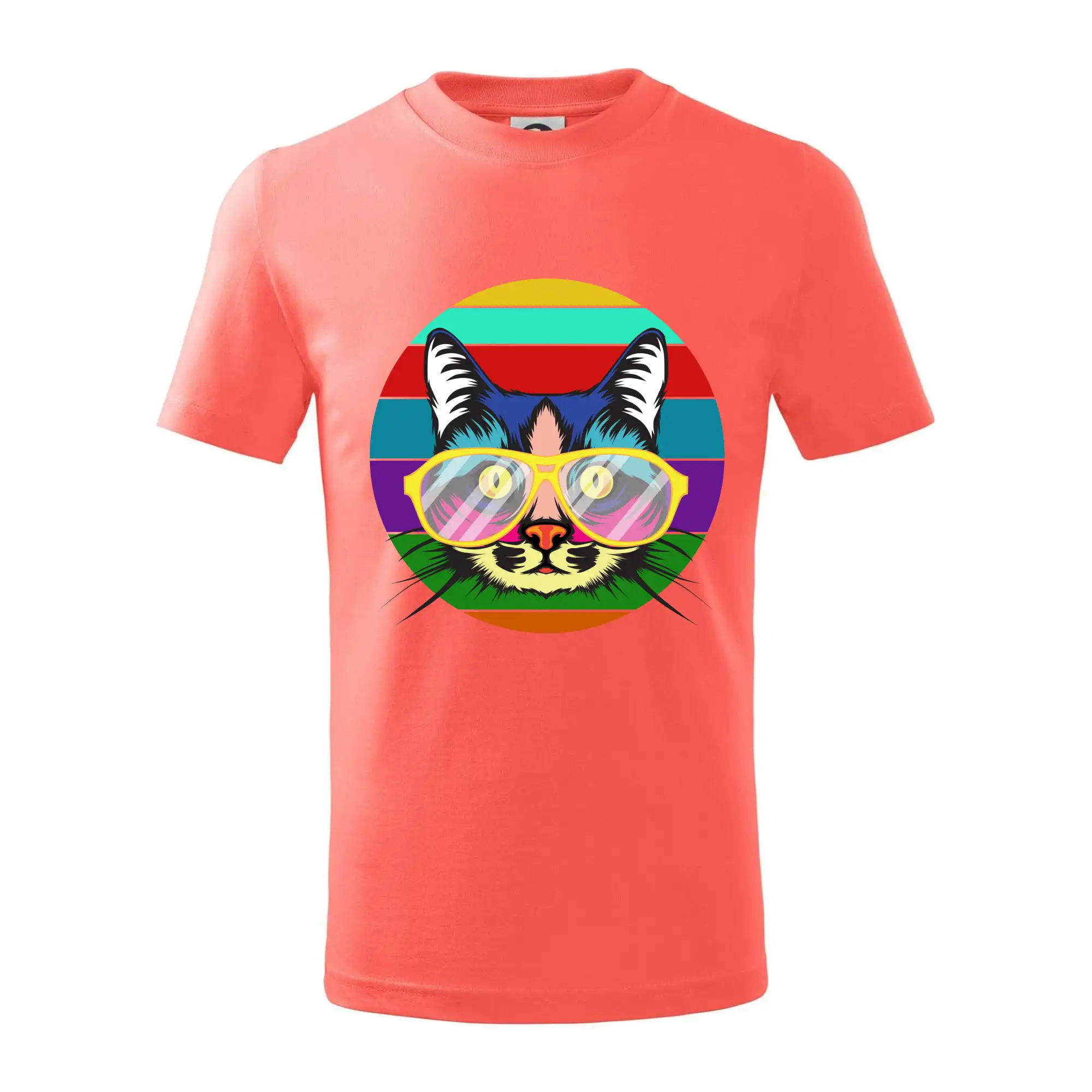 Kočka při barevném západu