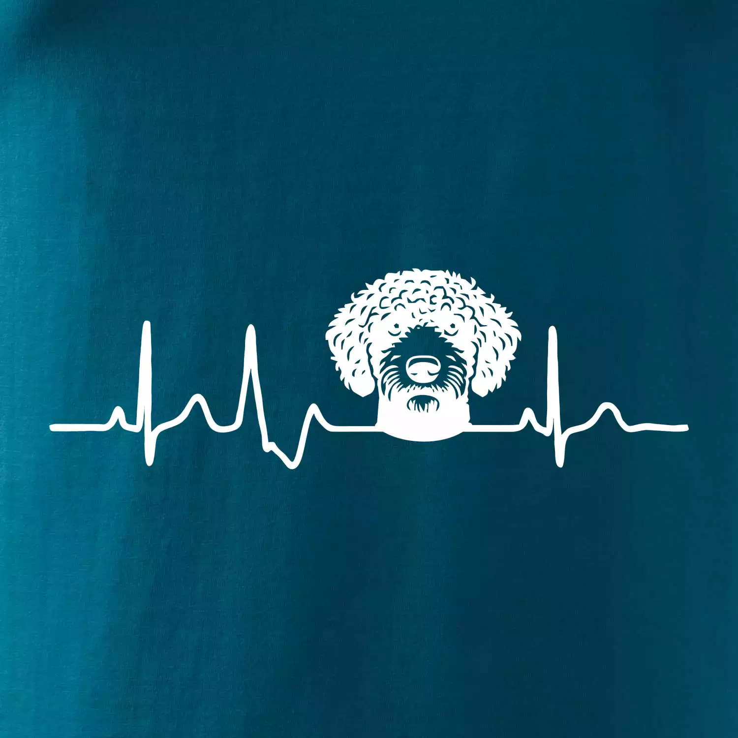 Lagotto romagnolo hlava EKG