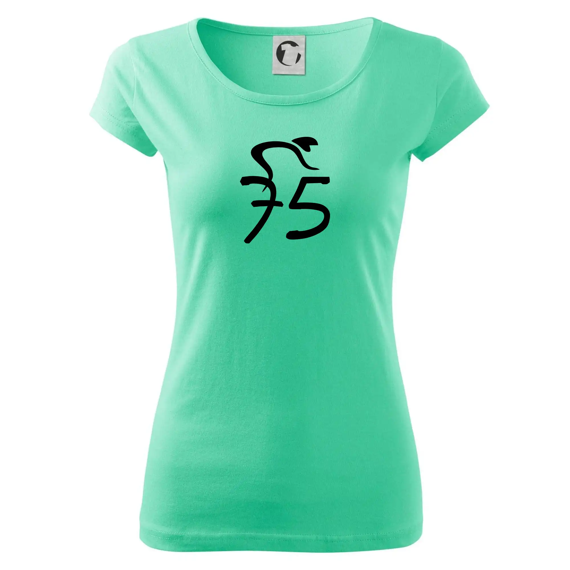 Cyklista slaví pětasedmdesátku (75)