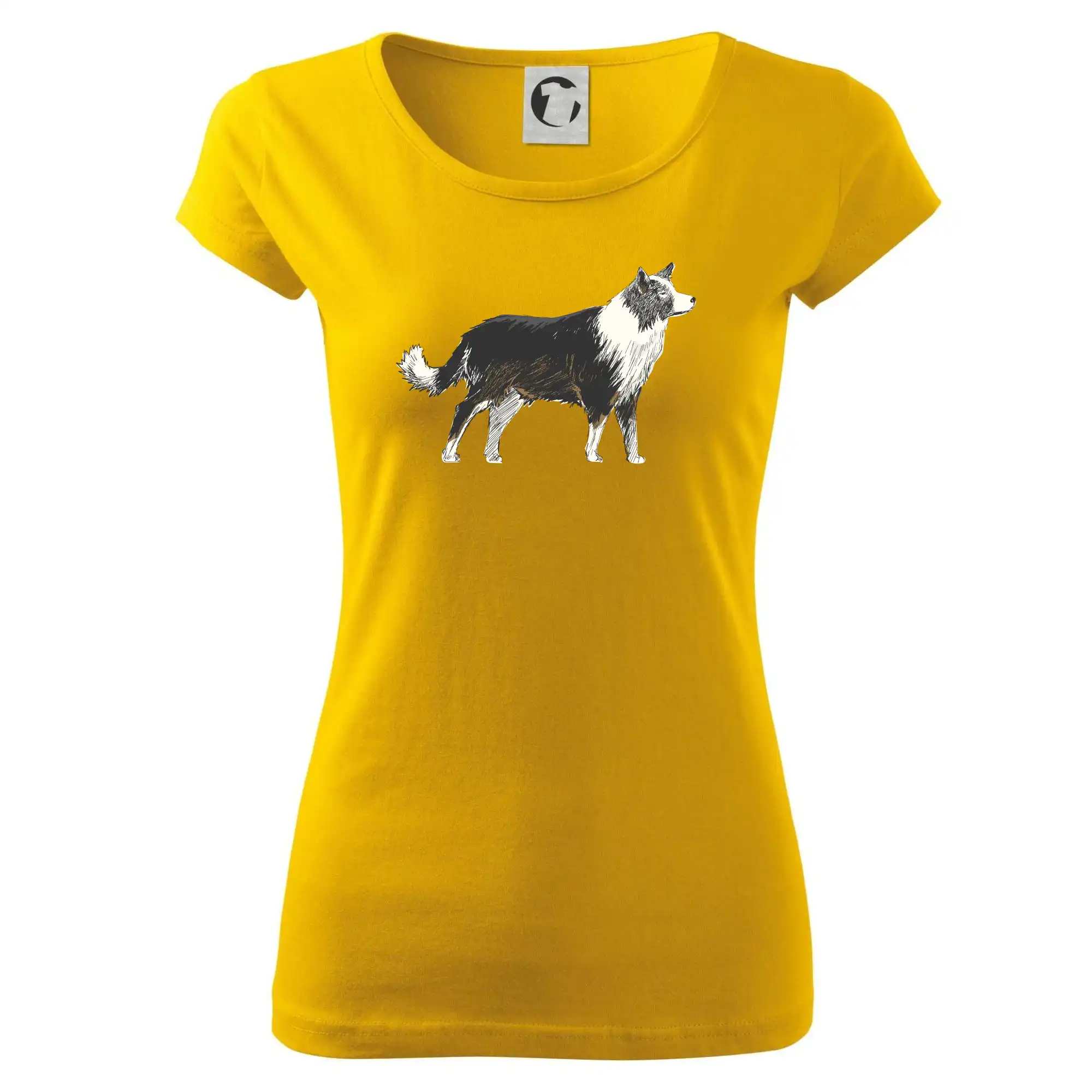 Border kolie kreslená