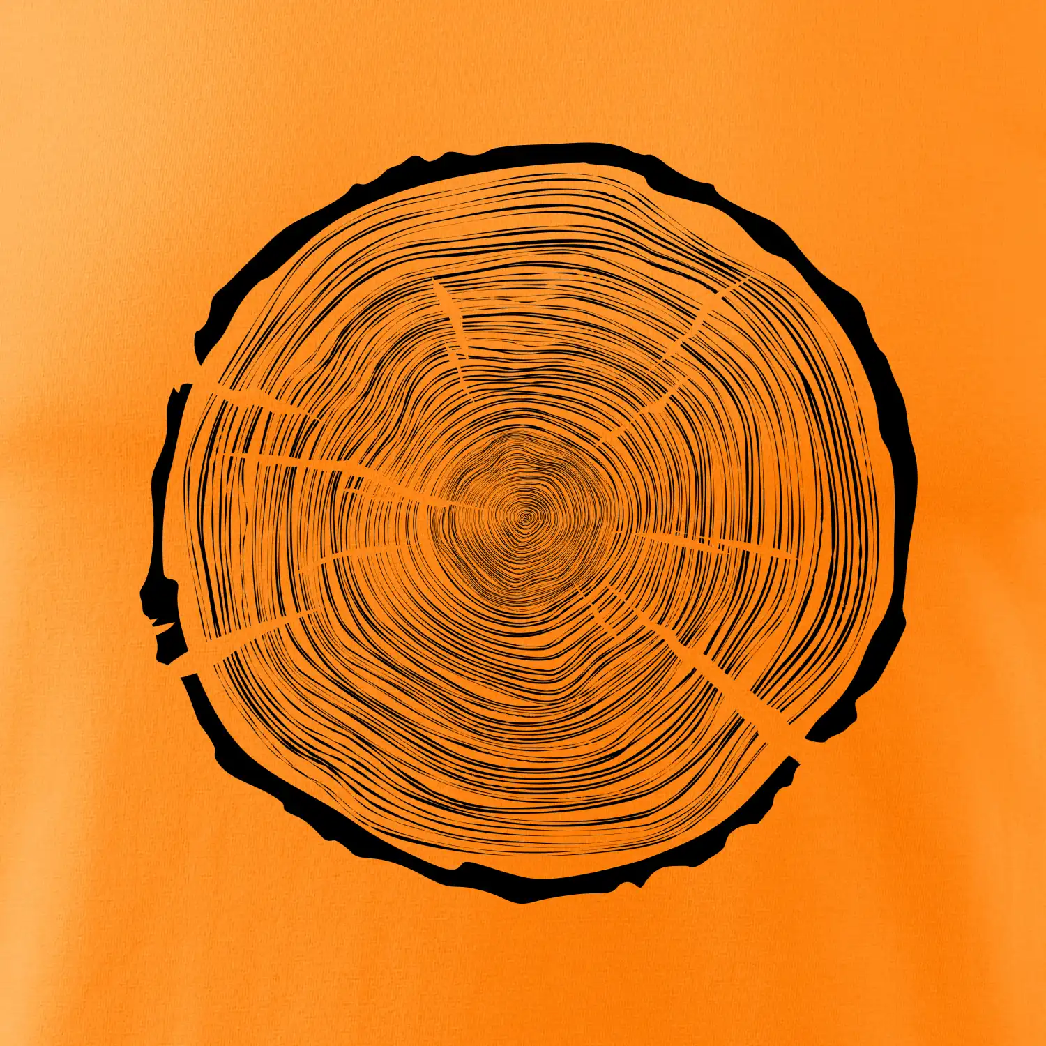 Letokruhy 100 bez věku