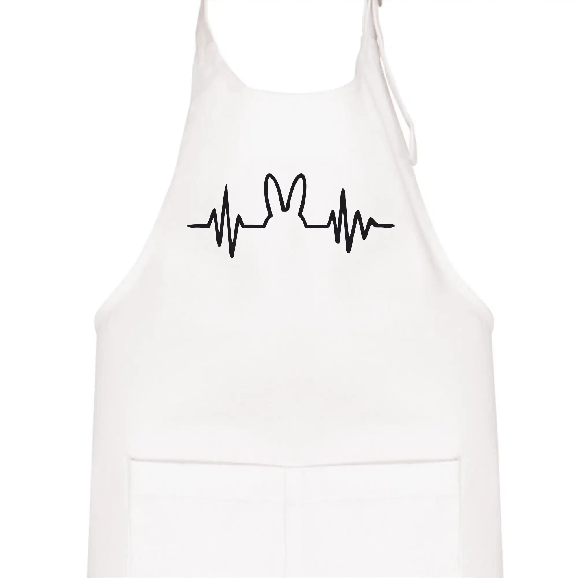 EKG zajíc
