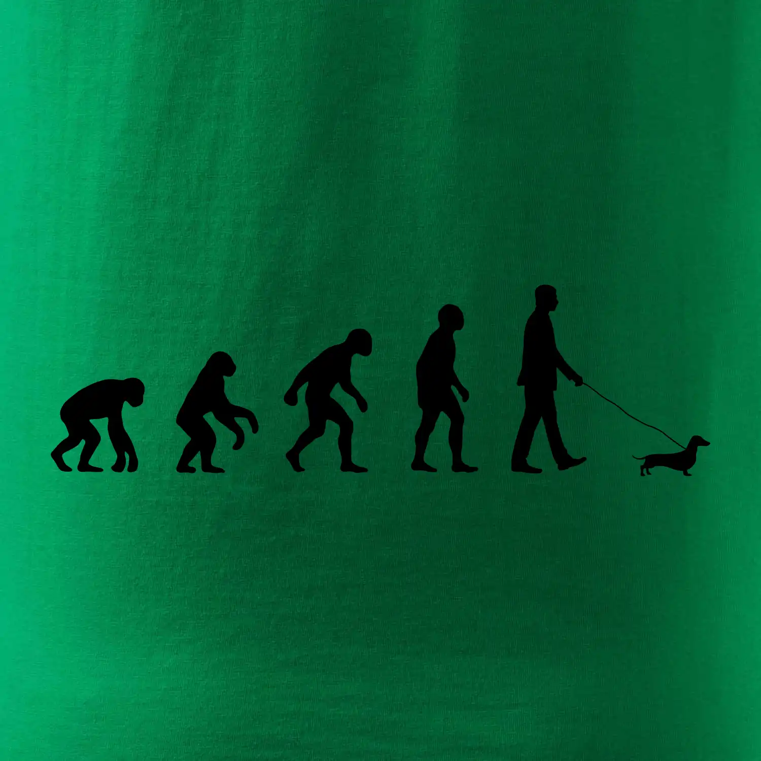 Jezevčík Evoluce muž / žena