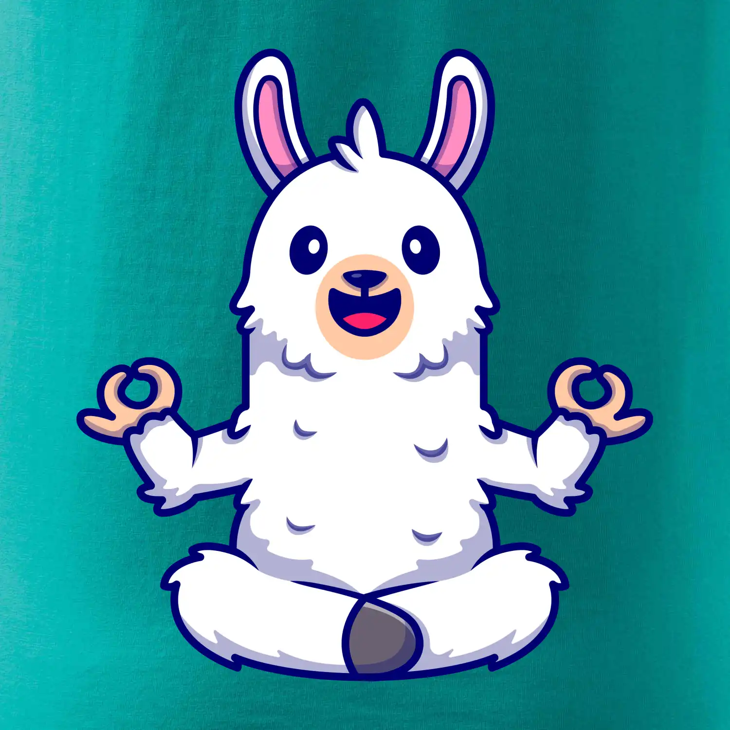 Yoga meditace - lama