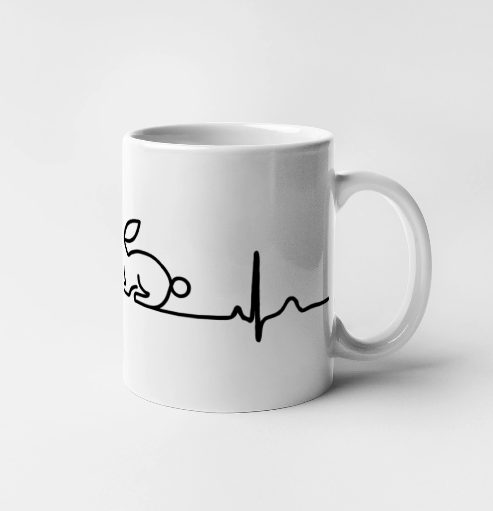 EKG králík