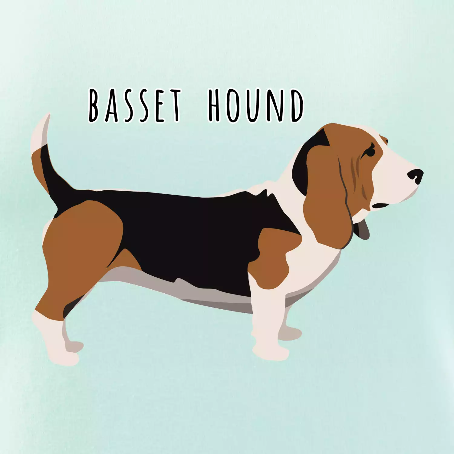 Basset hound pes s nápisem