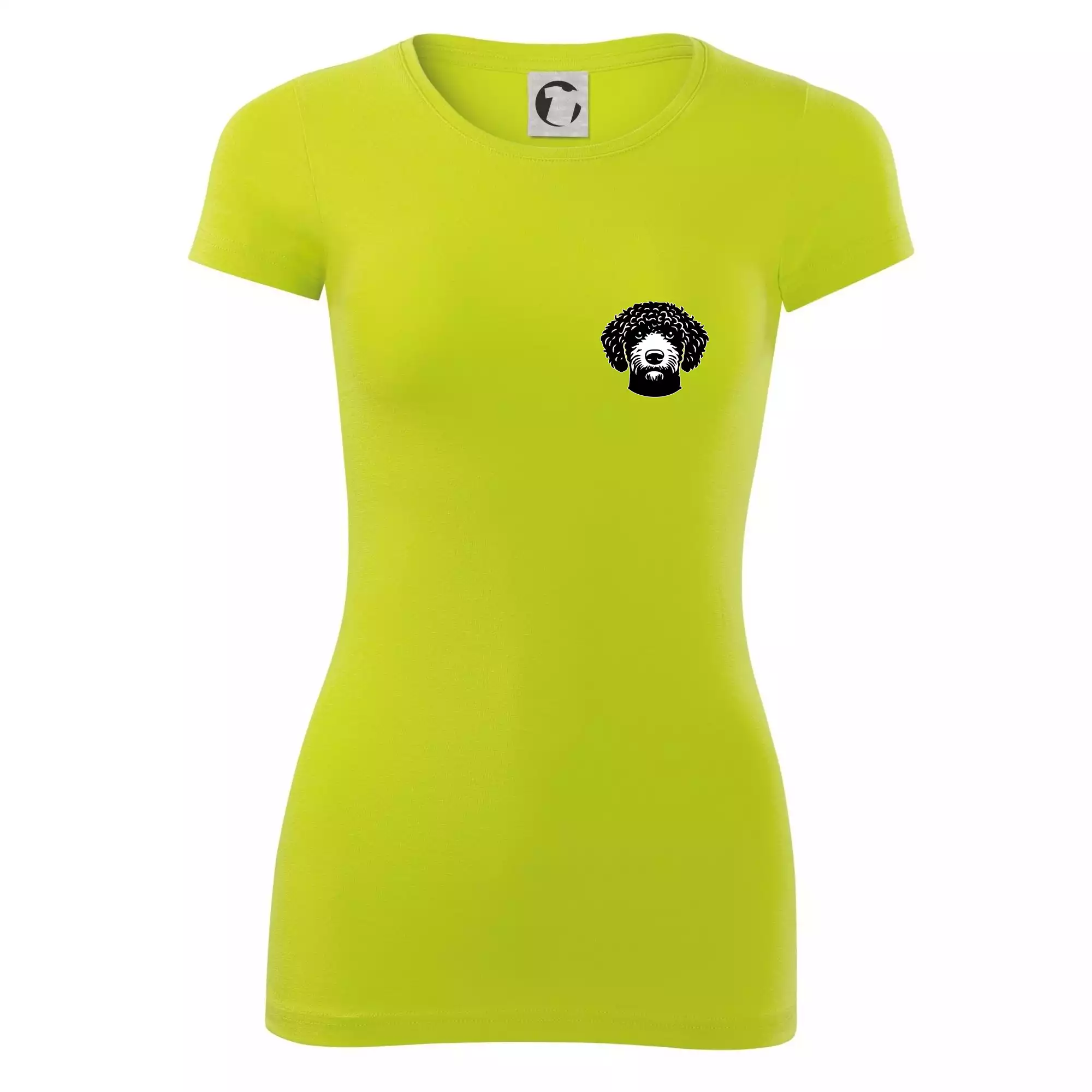 Lagotto romagnolo hlava na prsu