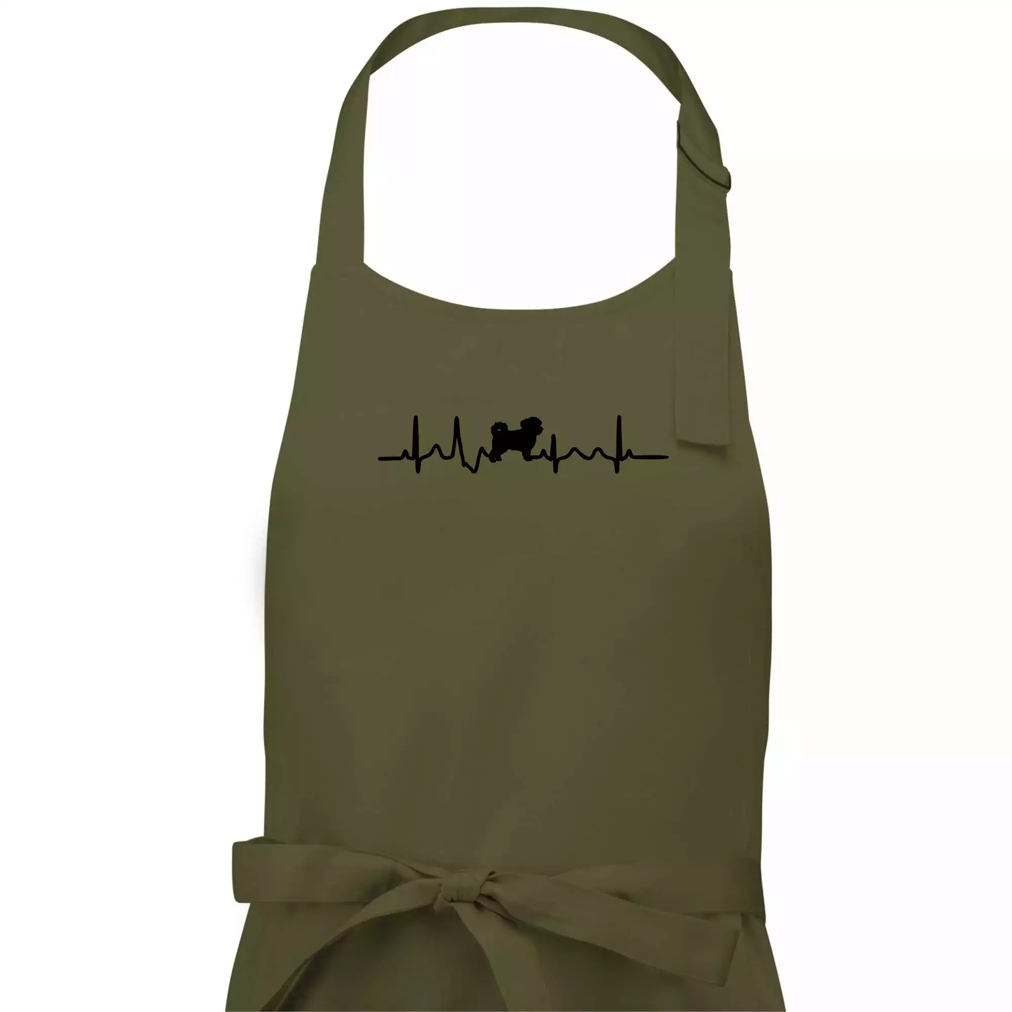 Havanský psík ekg