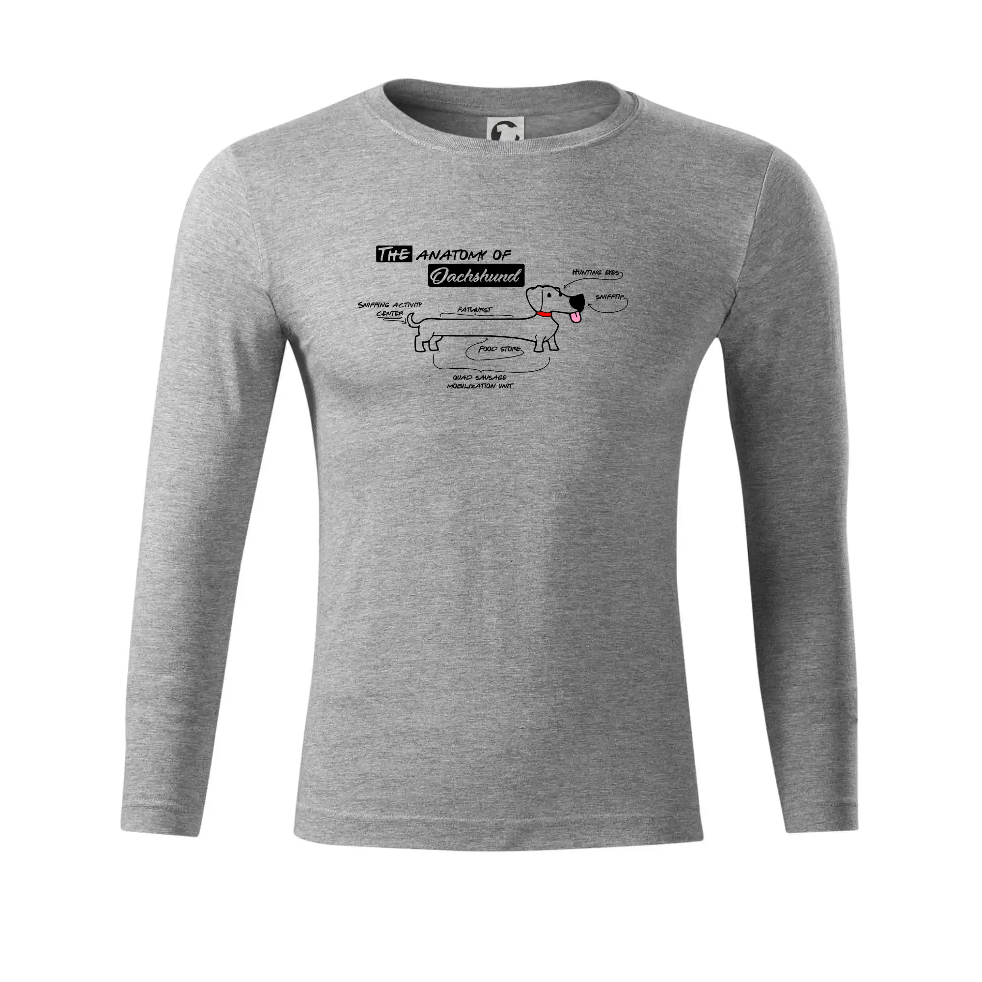 Jezevčík - Anatomie