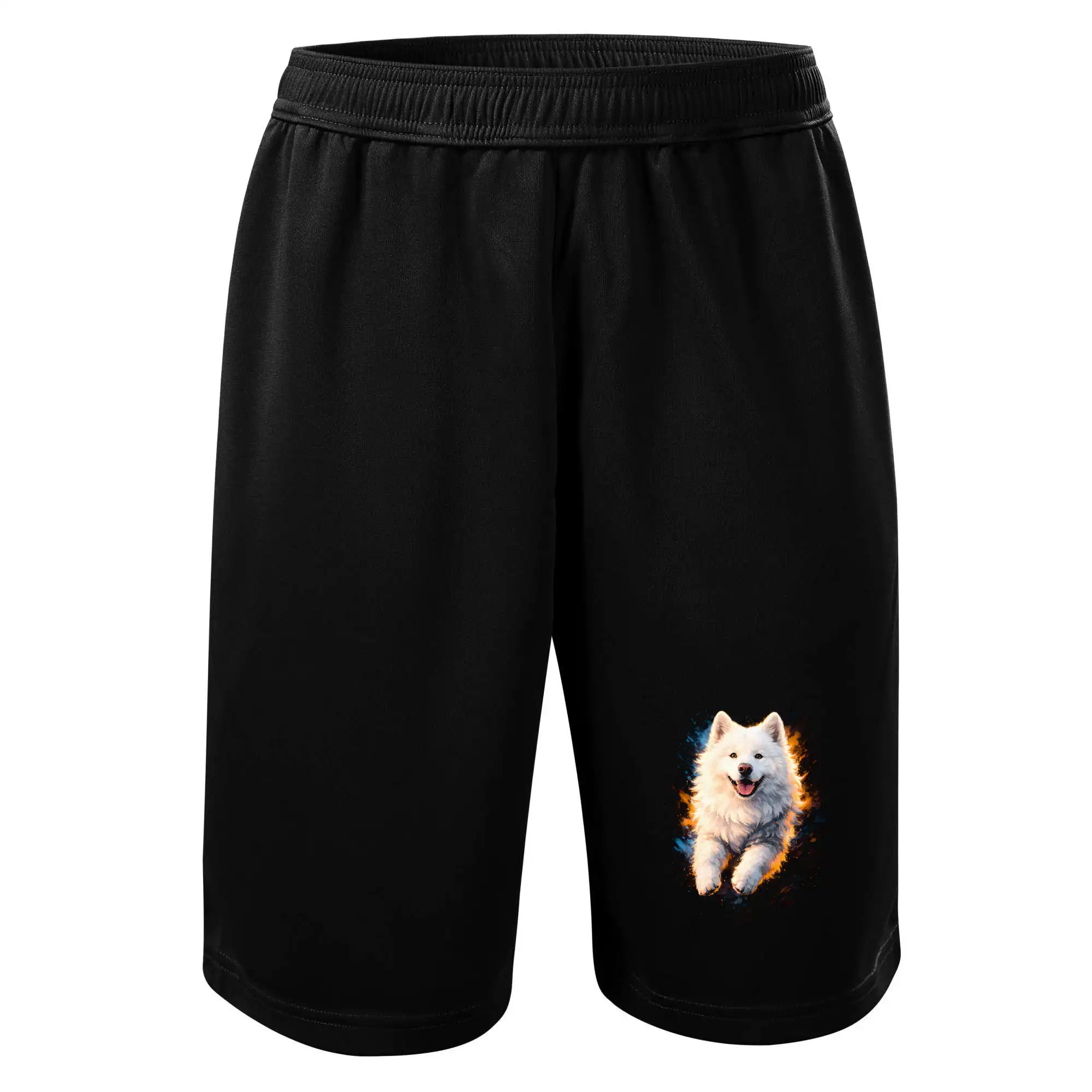 Obrázek polotón Čau čau