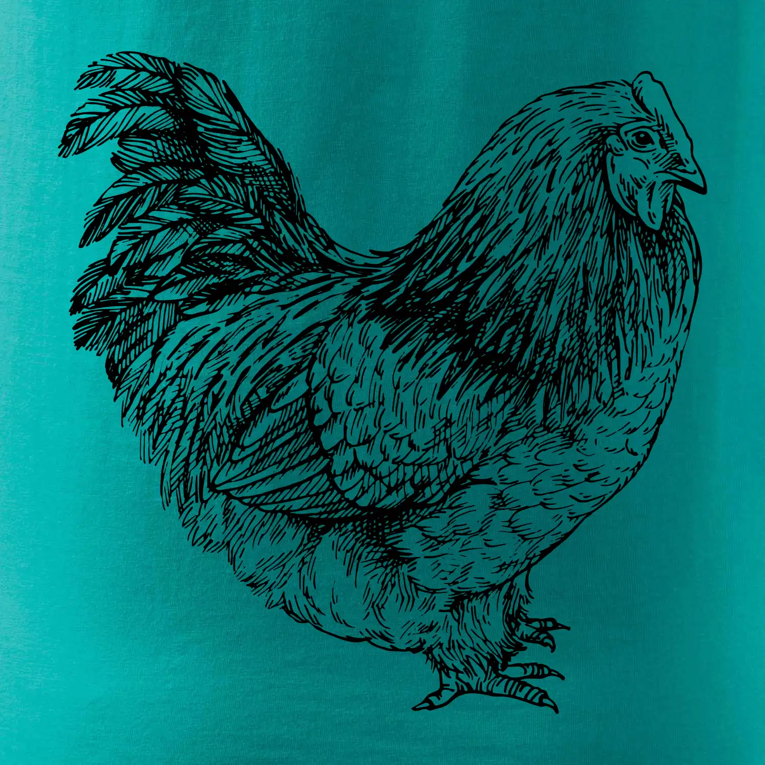 Slepice černobílá