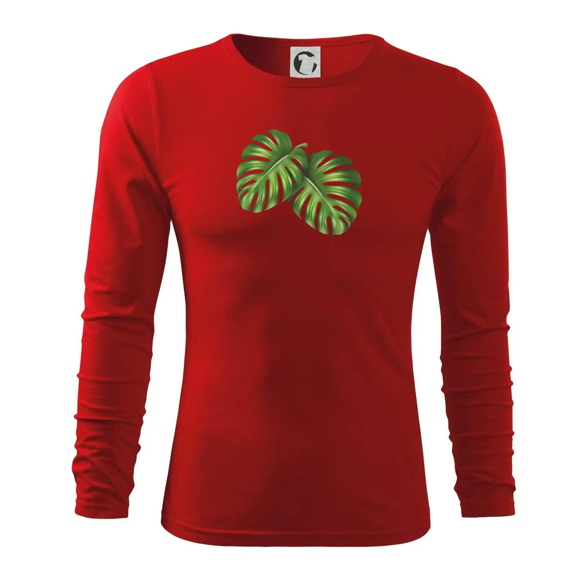 Monstera - dva listy