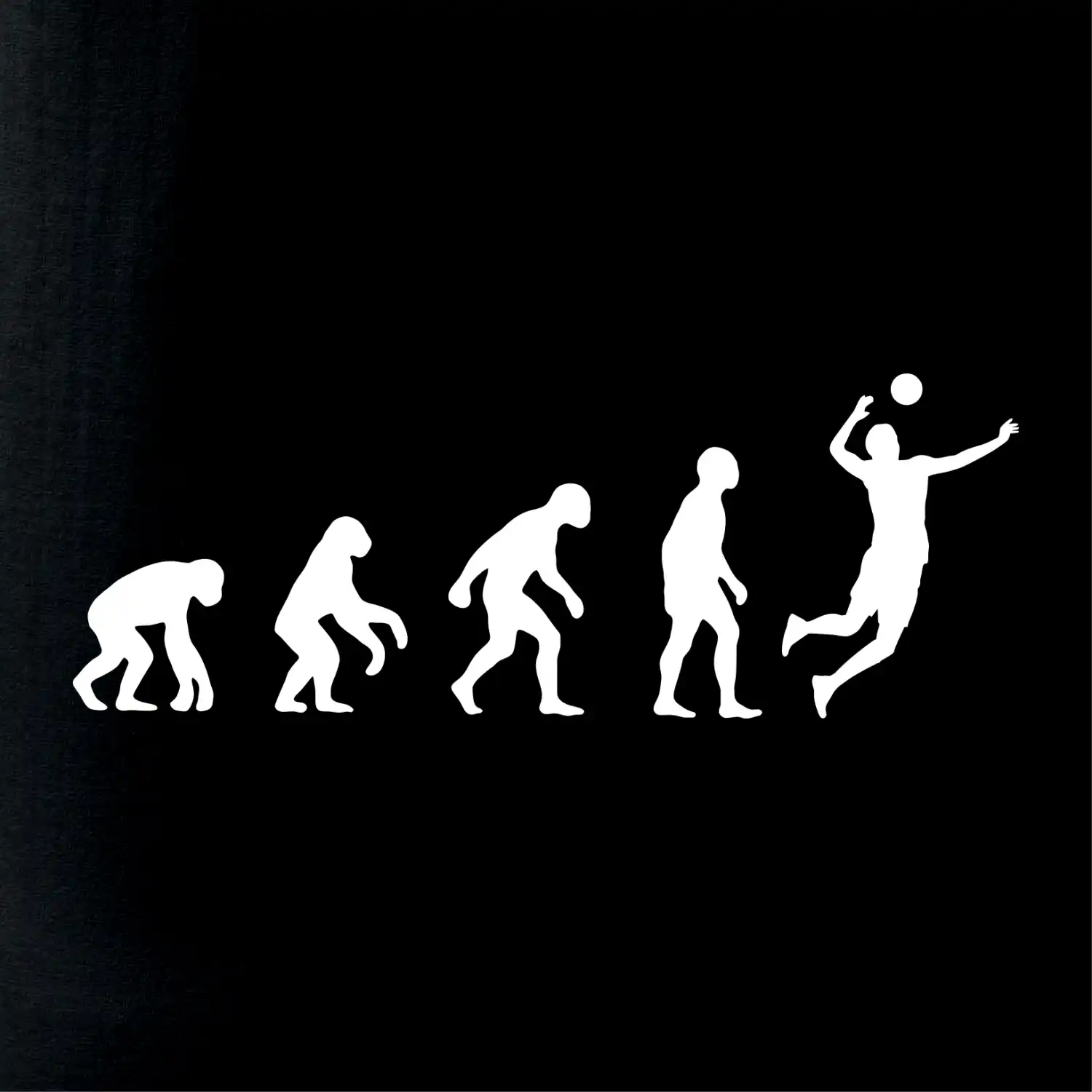 Evoluce volejbal smeč