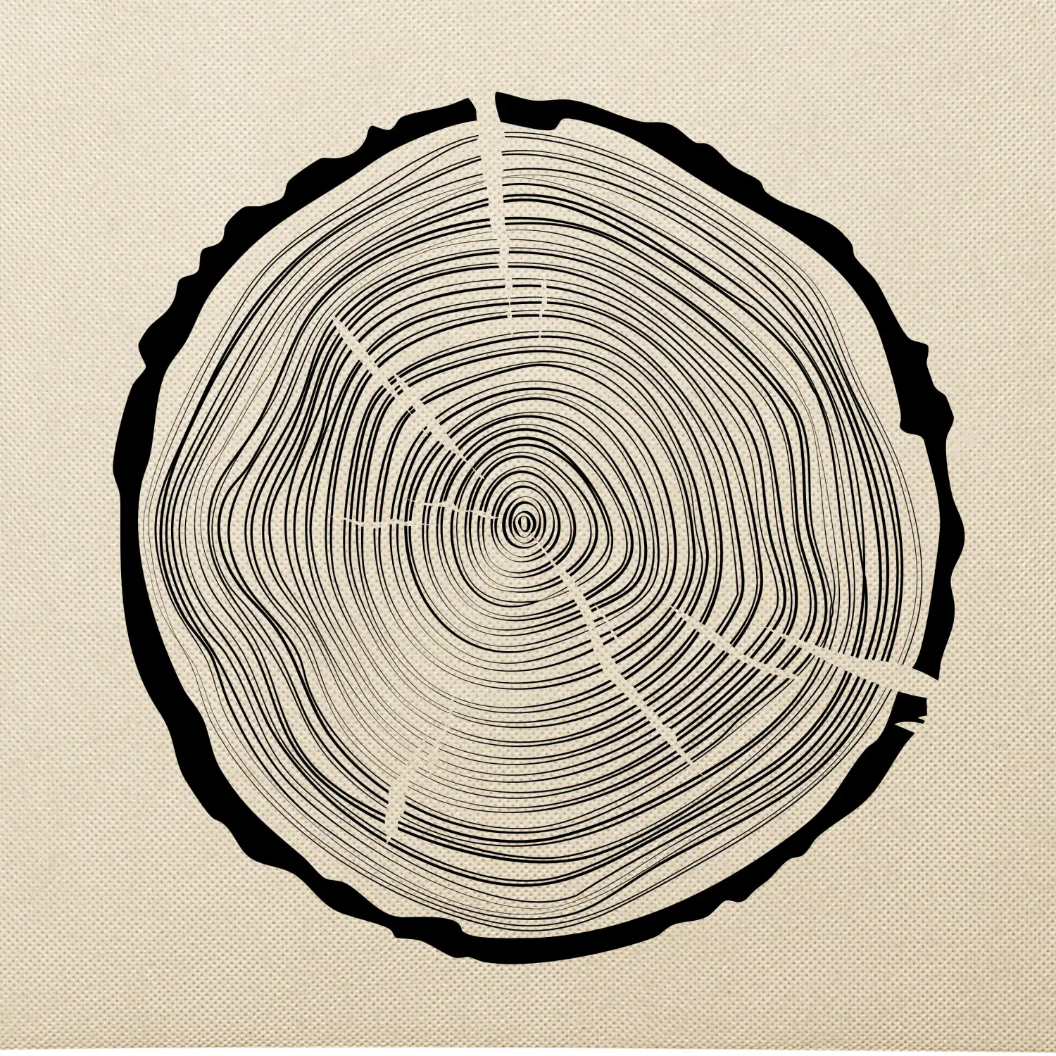 Letokruhy 50 bez věku