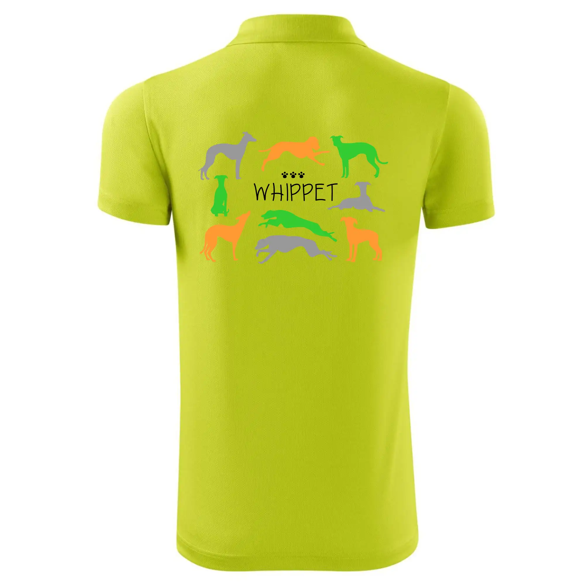 Whippet barevný