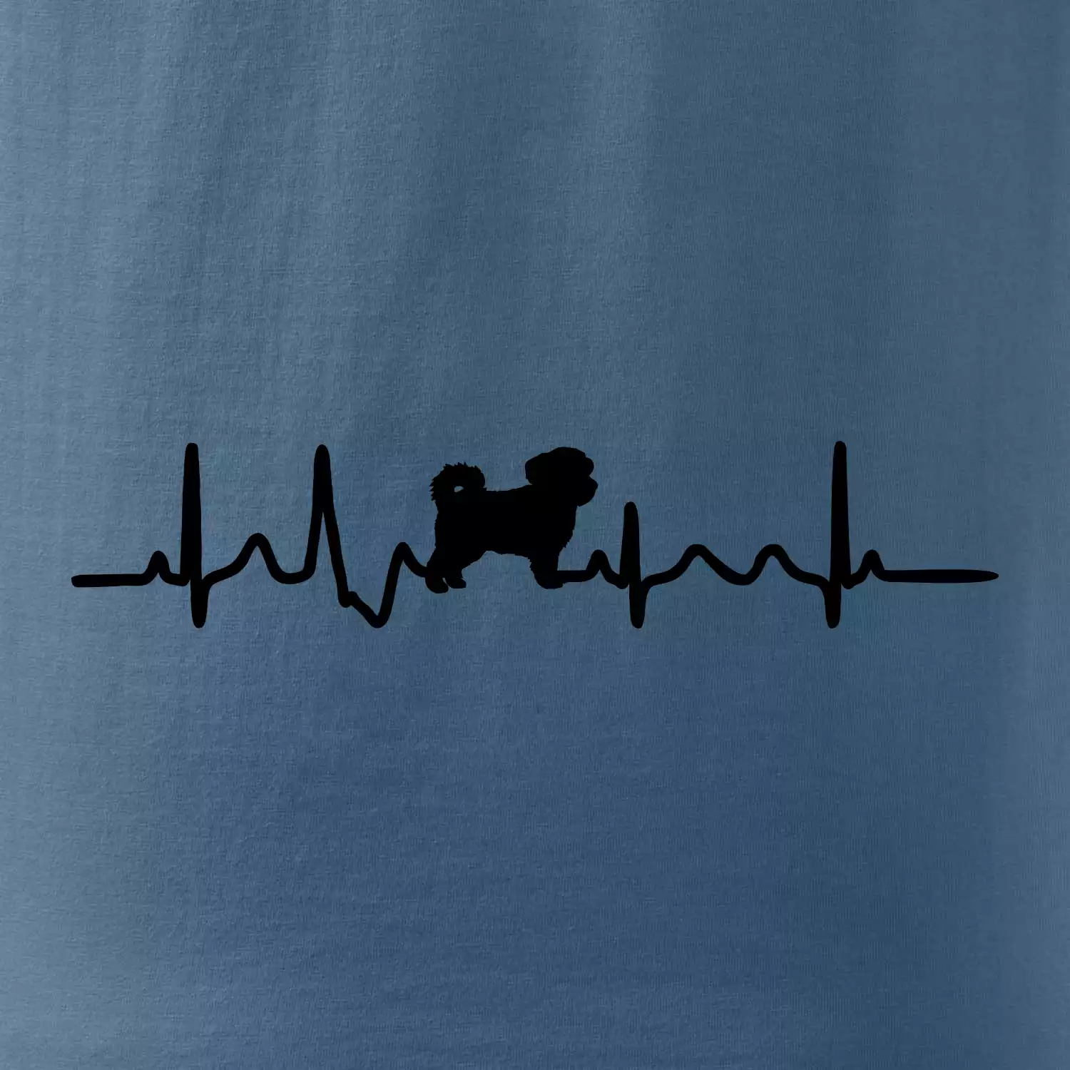 Havanský psík ekg