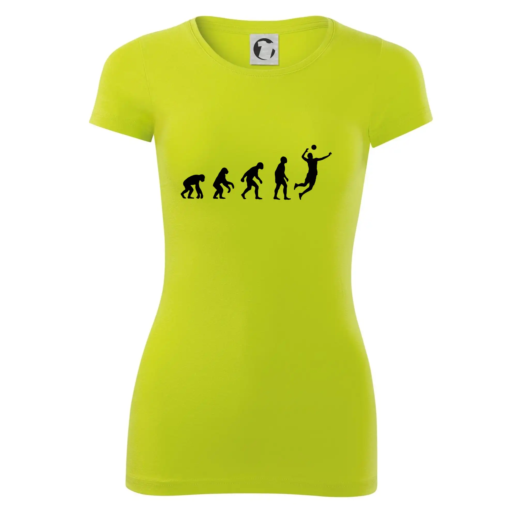 Evoluce volejbal smeč