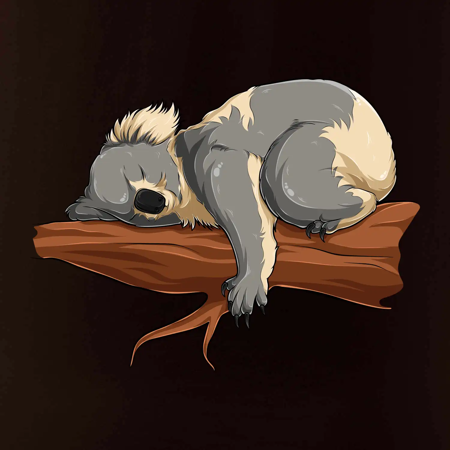 Koala na větvi