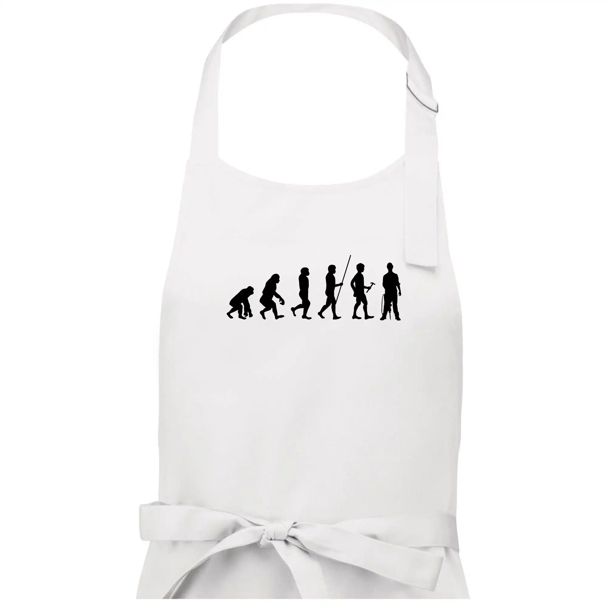 Evoluce zedník zbiječka