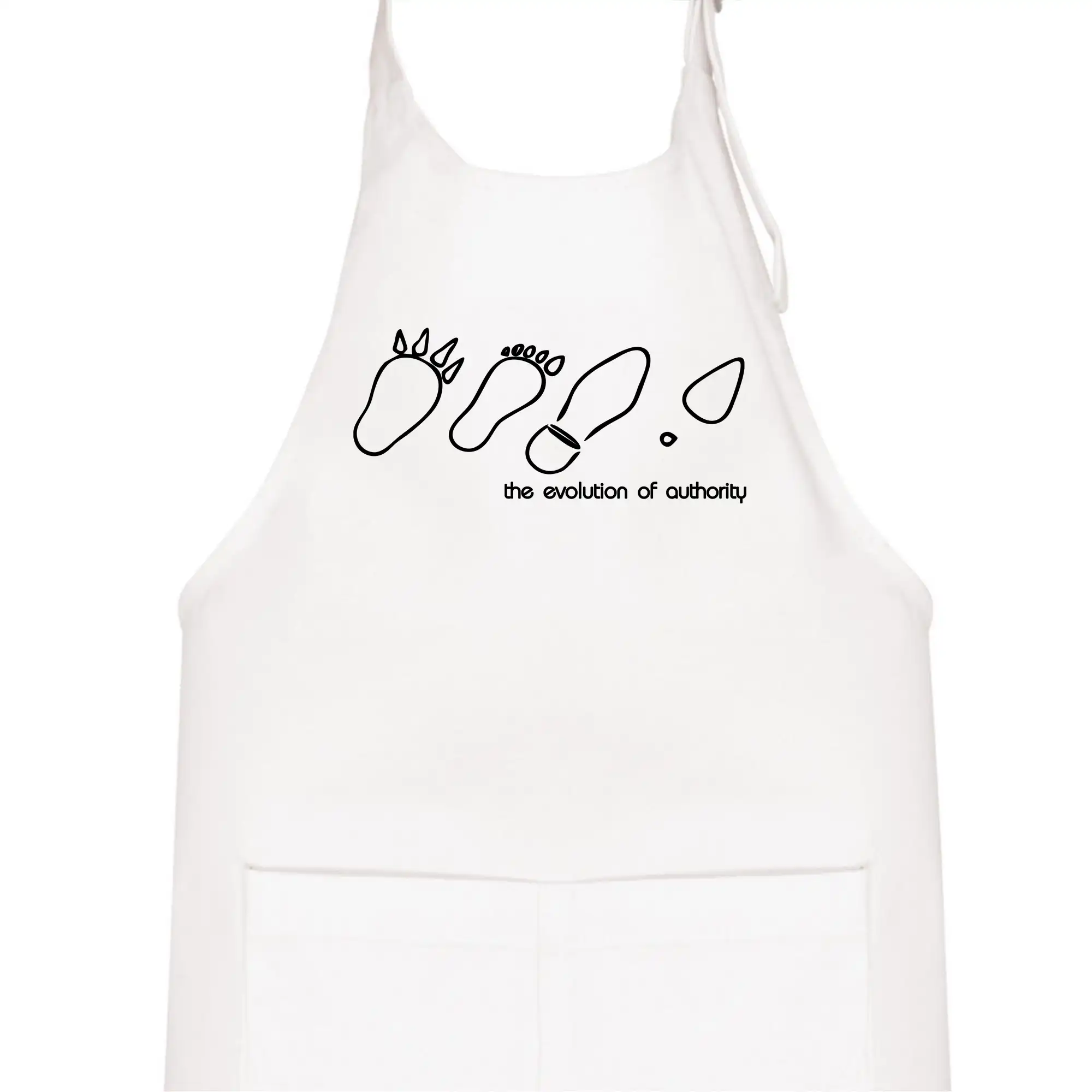 Evolution of authority