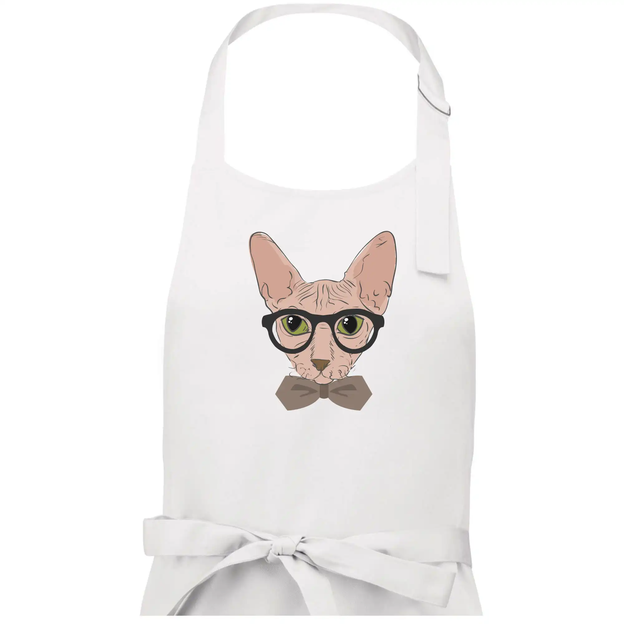 Hipster sphynx