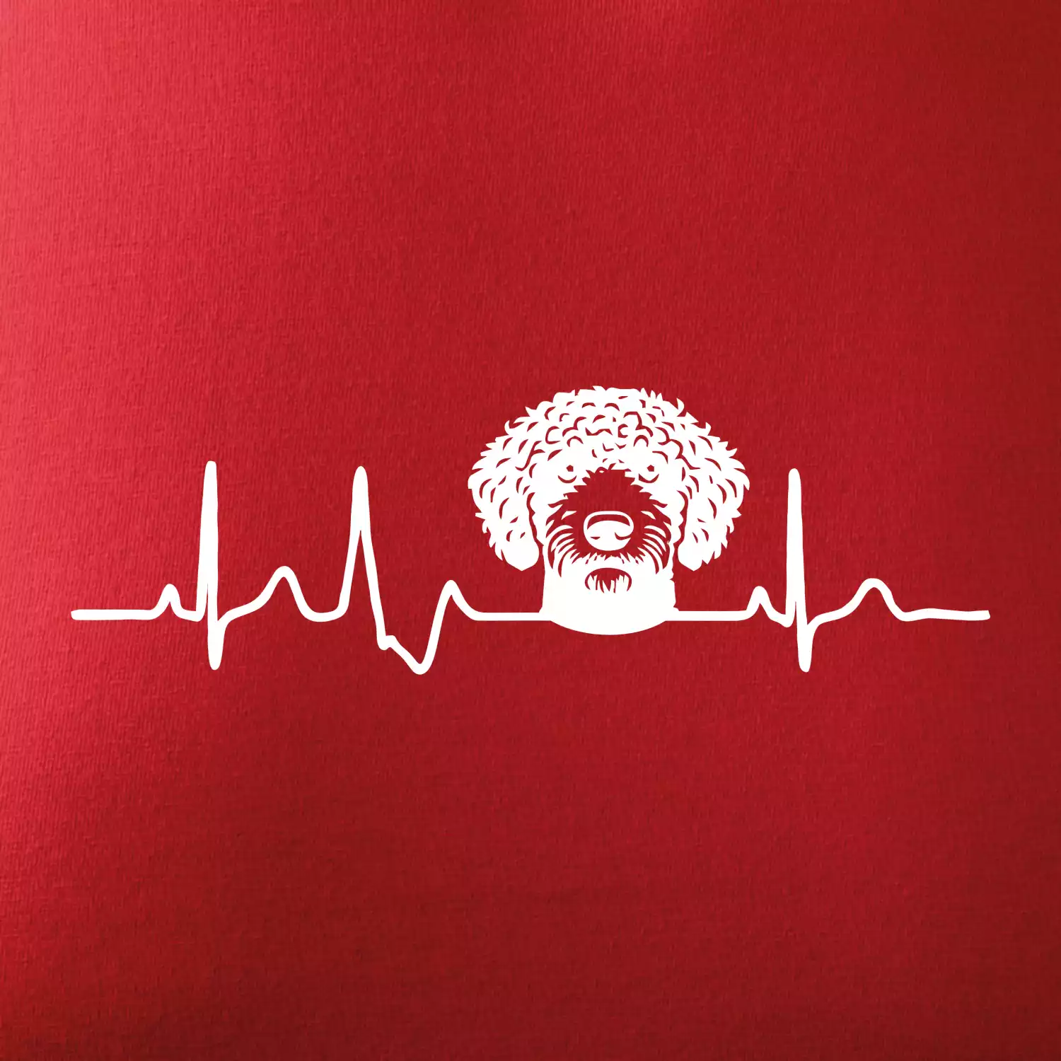 Lagotto romagnolo hlava EKG