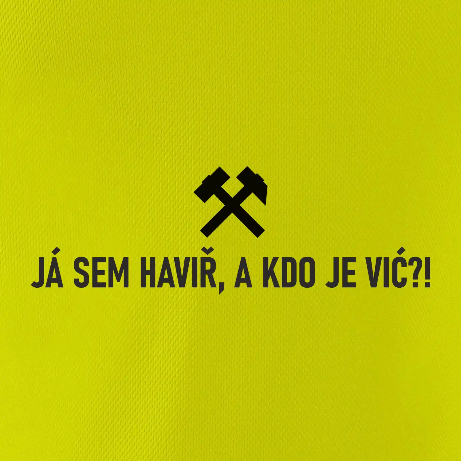 JÁ SEM HAVIŘ, A KDO JE VIĆ?!﻿